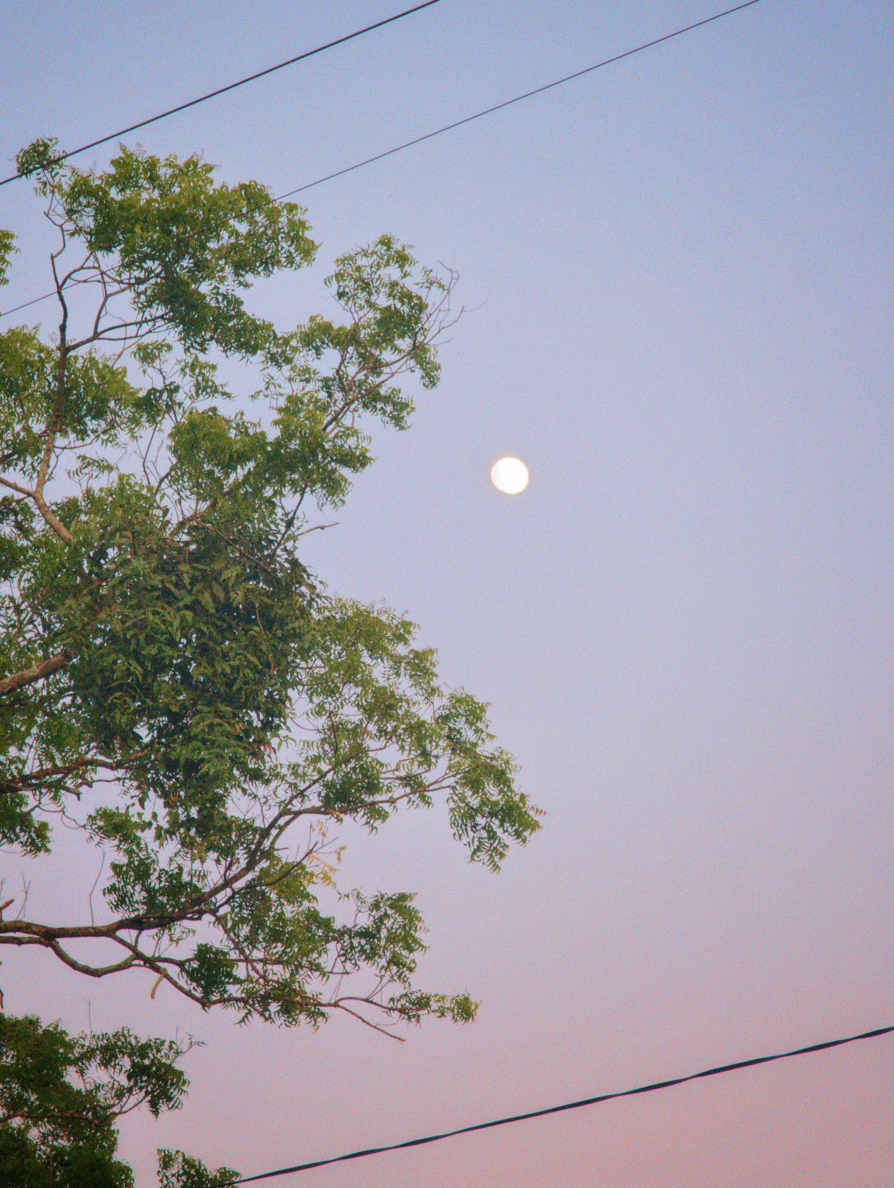 Moon in pastel sky