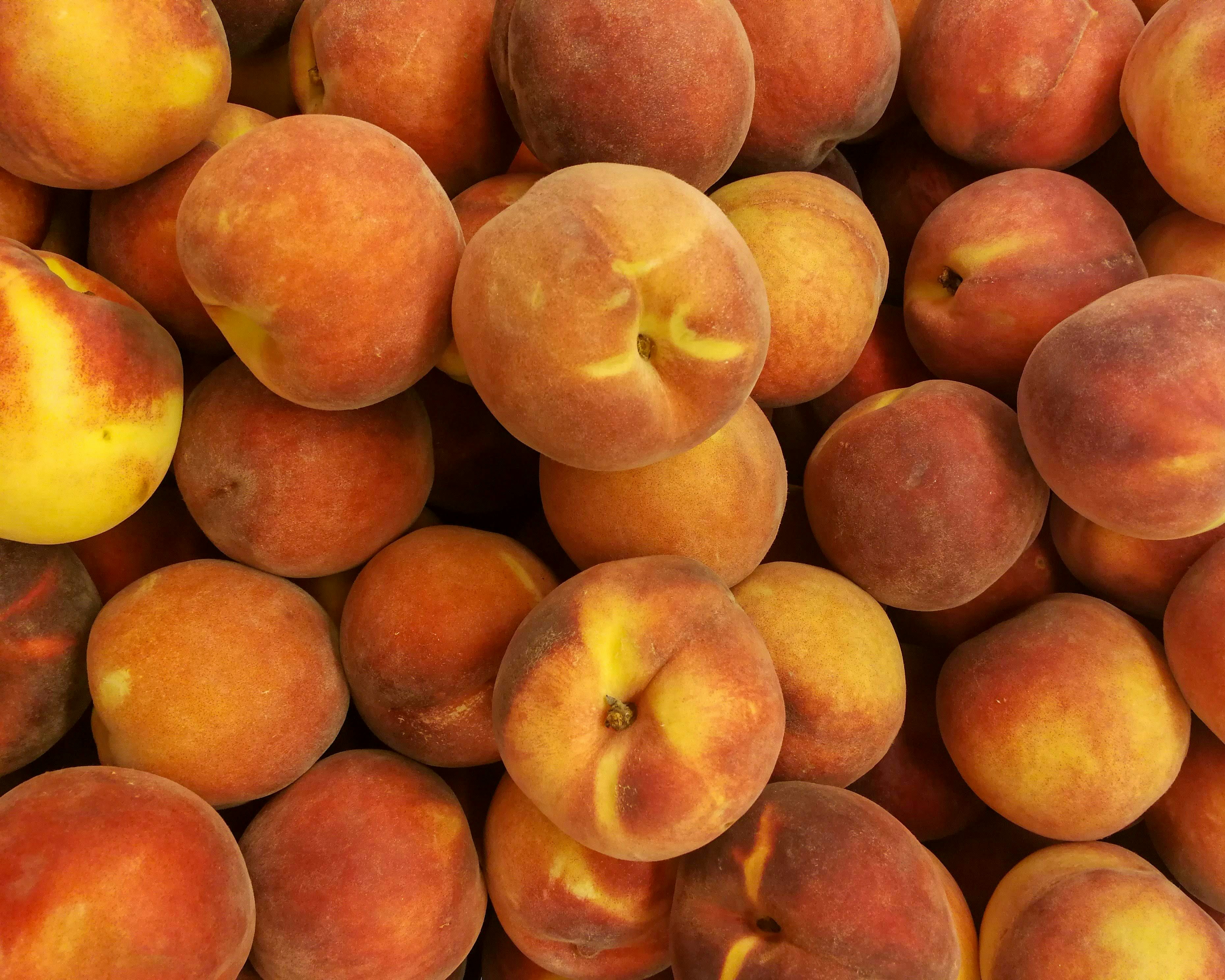 A large pile of ripe peaches with fuzzy orange and yellow skins
