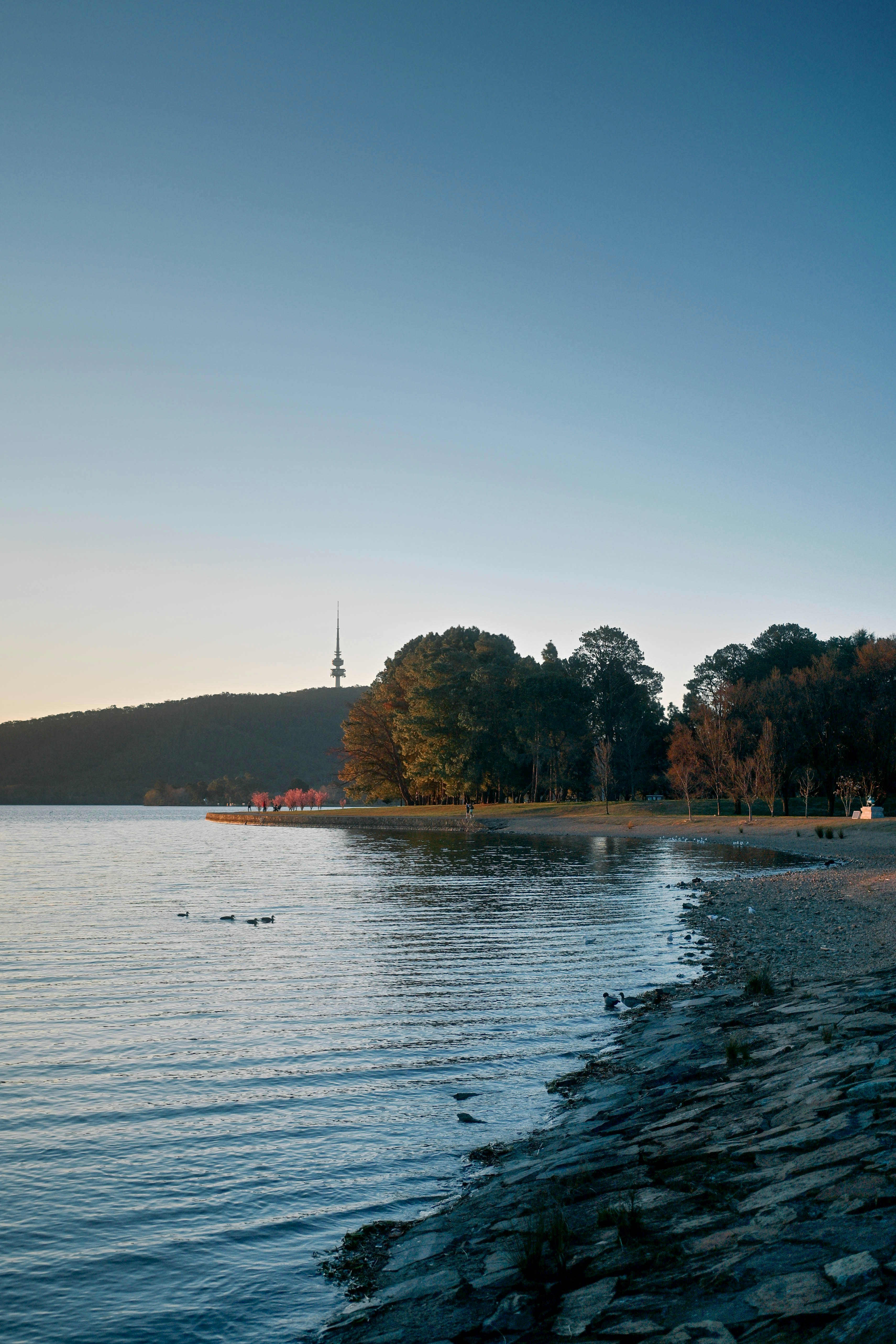 Danau Burley Griffin dengan Menara Black Mountain di kejauhan di Canberra