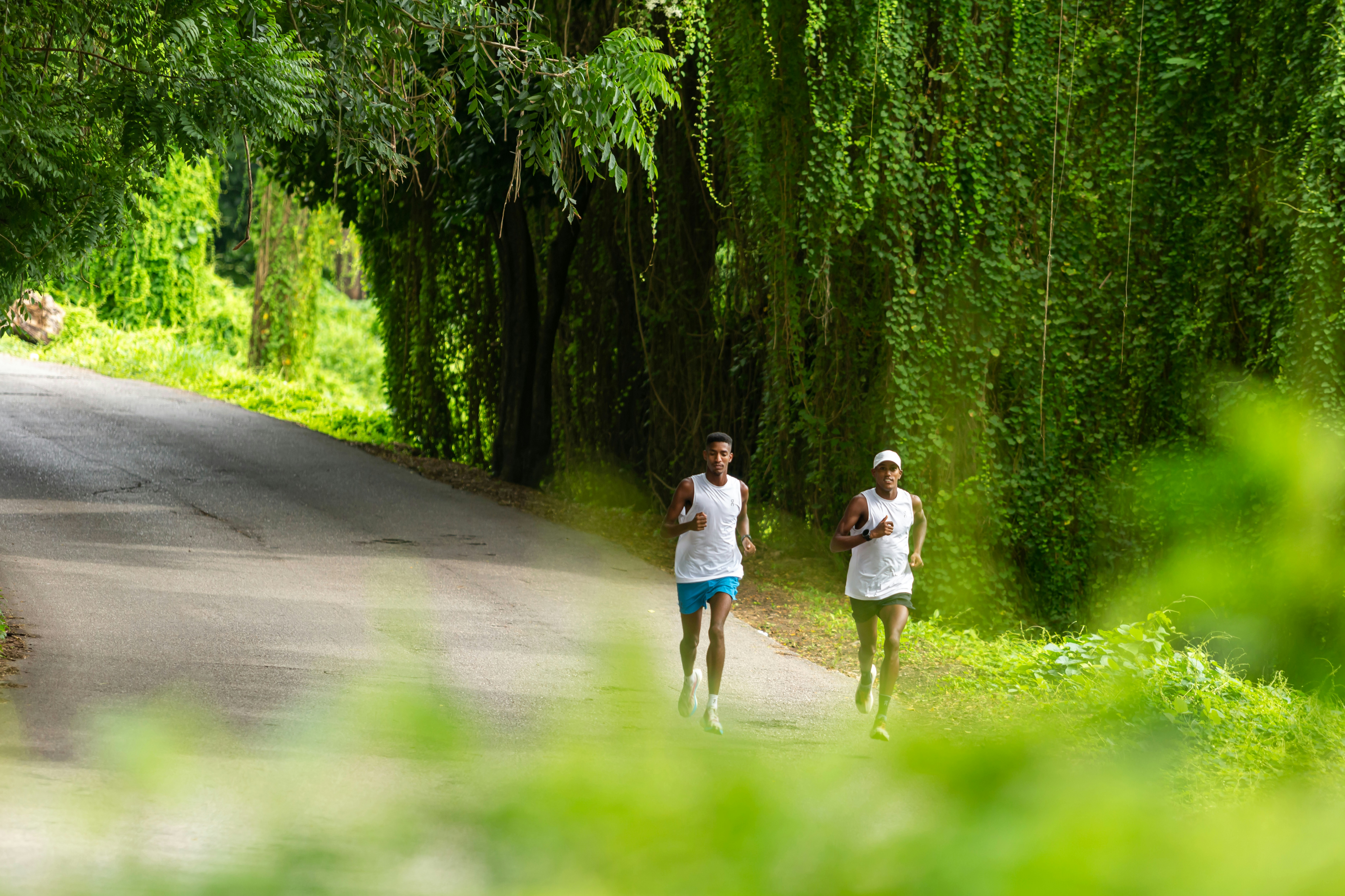 Fotomural Two men running on a paved road lined with lush green hanging vines