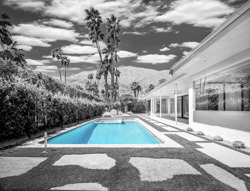 Modern house with a pool and palm trees