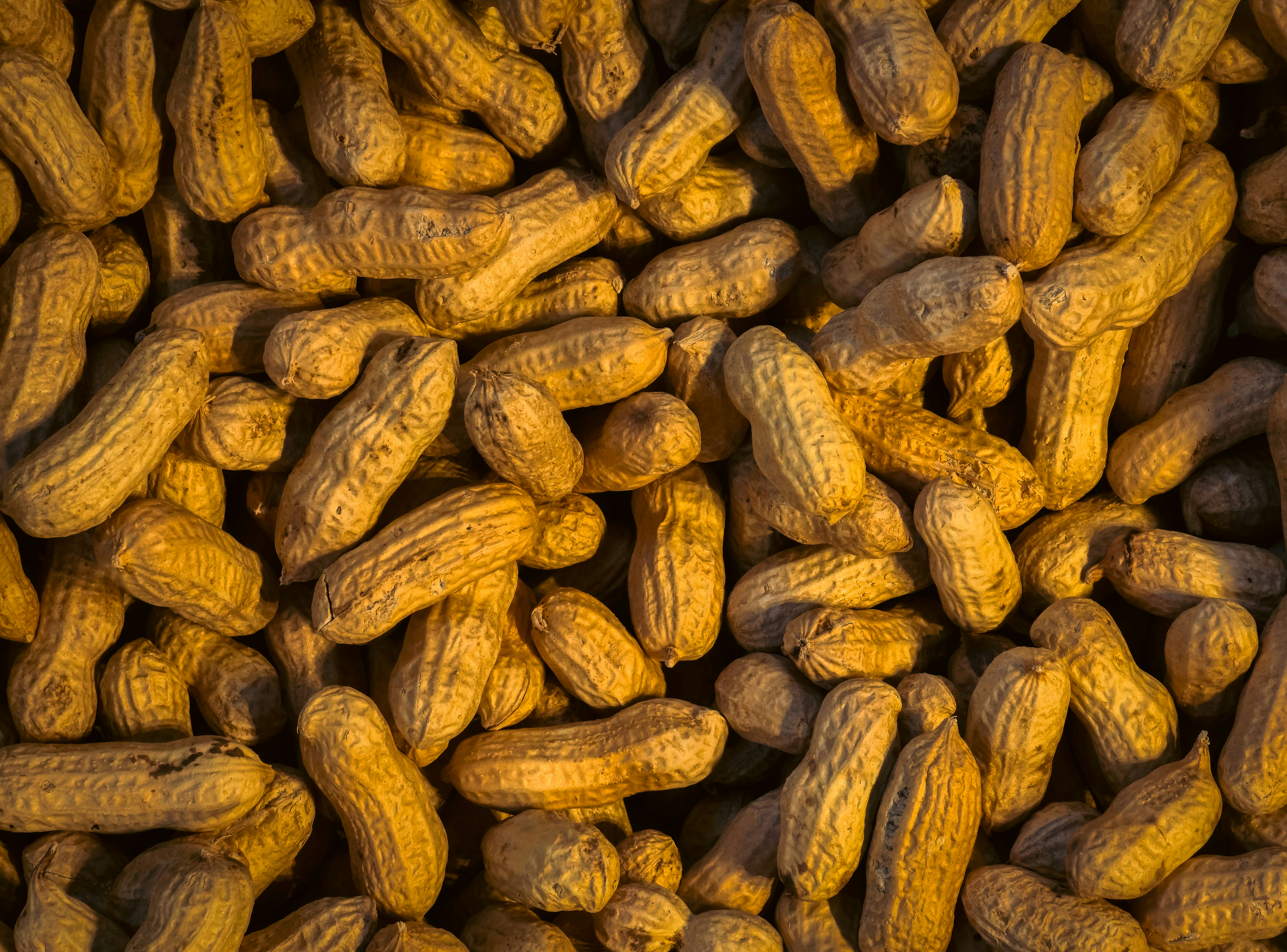 A dense pile of whole in-shell peanuts with textured tan pods