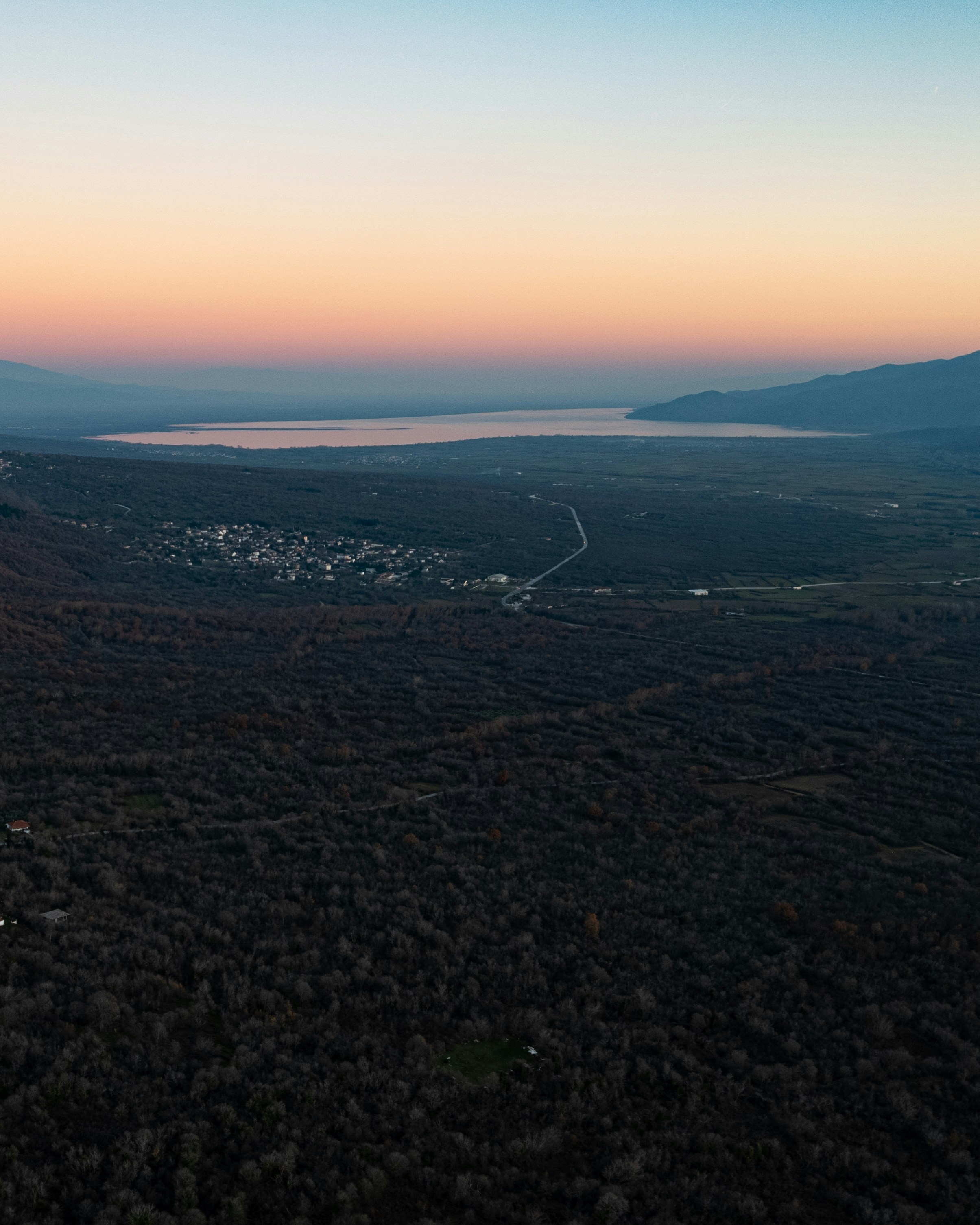 Aerial view of a dark forest and a small village near a lake