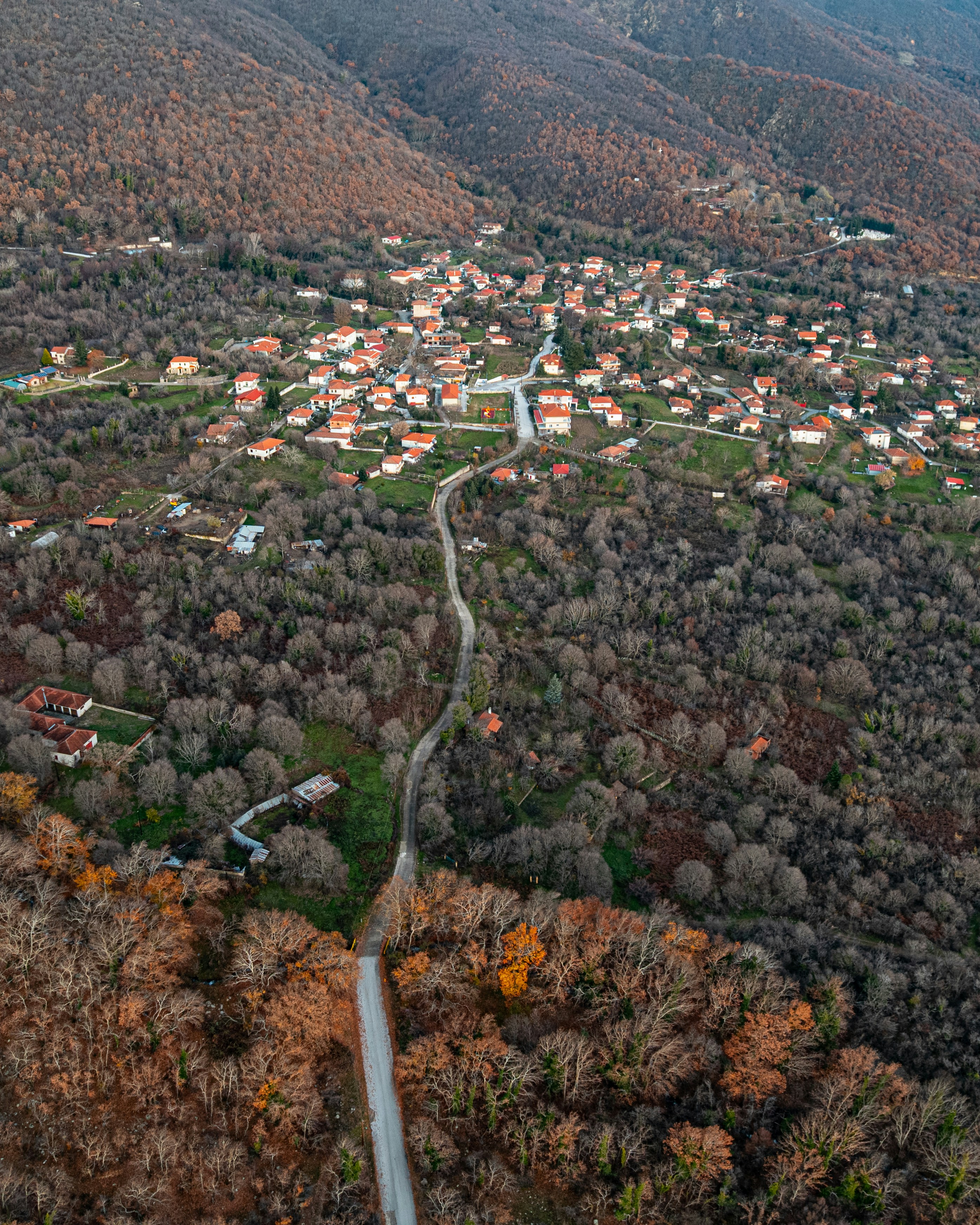 An aerial view of a village with orange roofs nestled in a forest