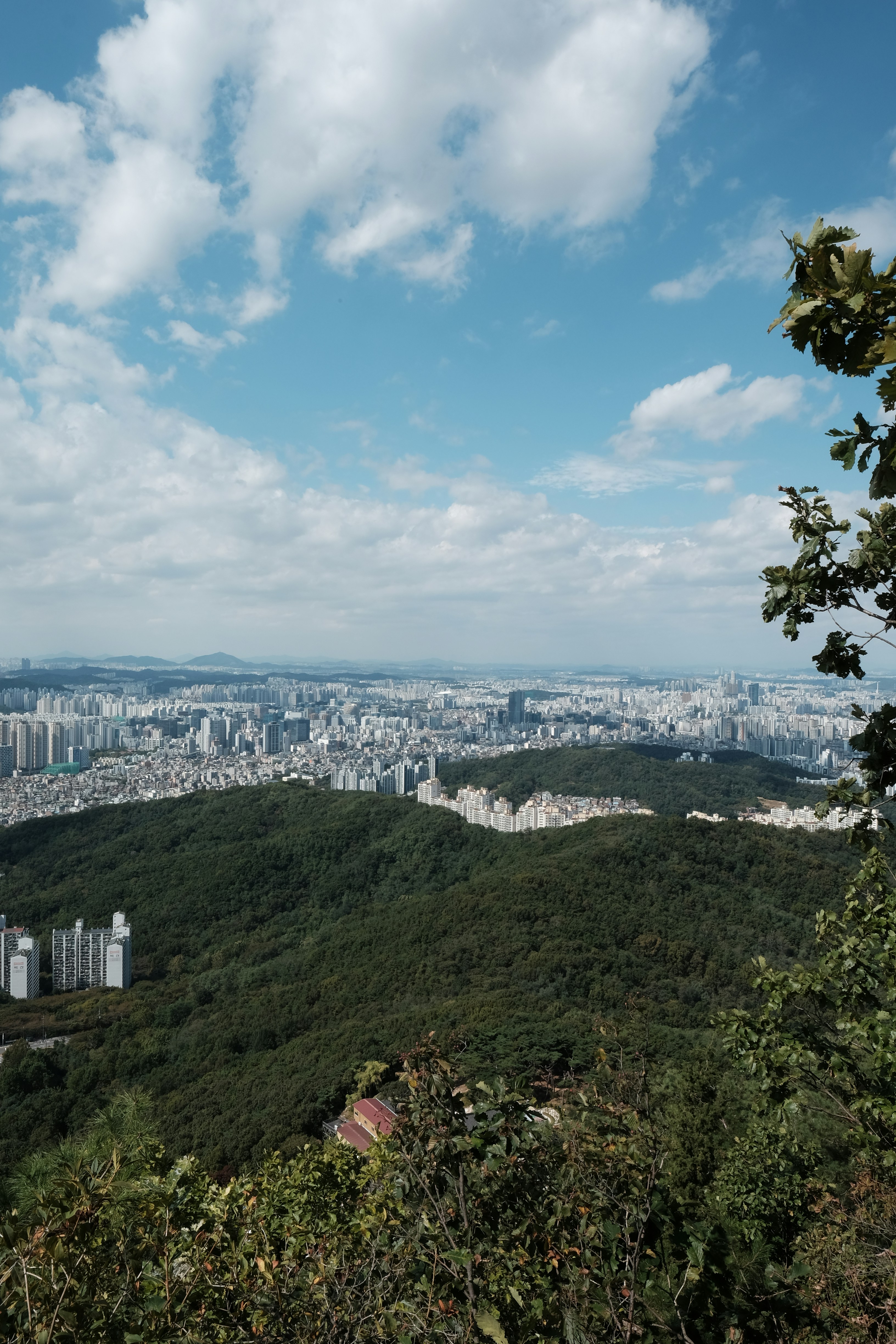 City skyline from forested mountain ridge - Free Photo on Unsplash