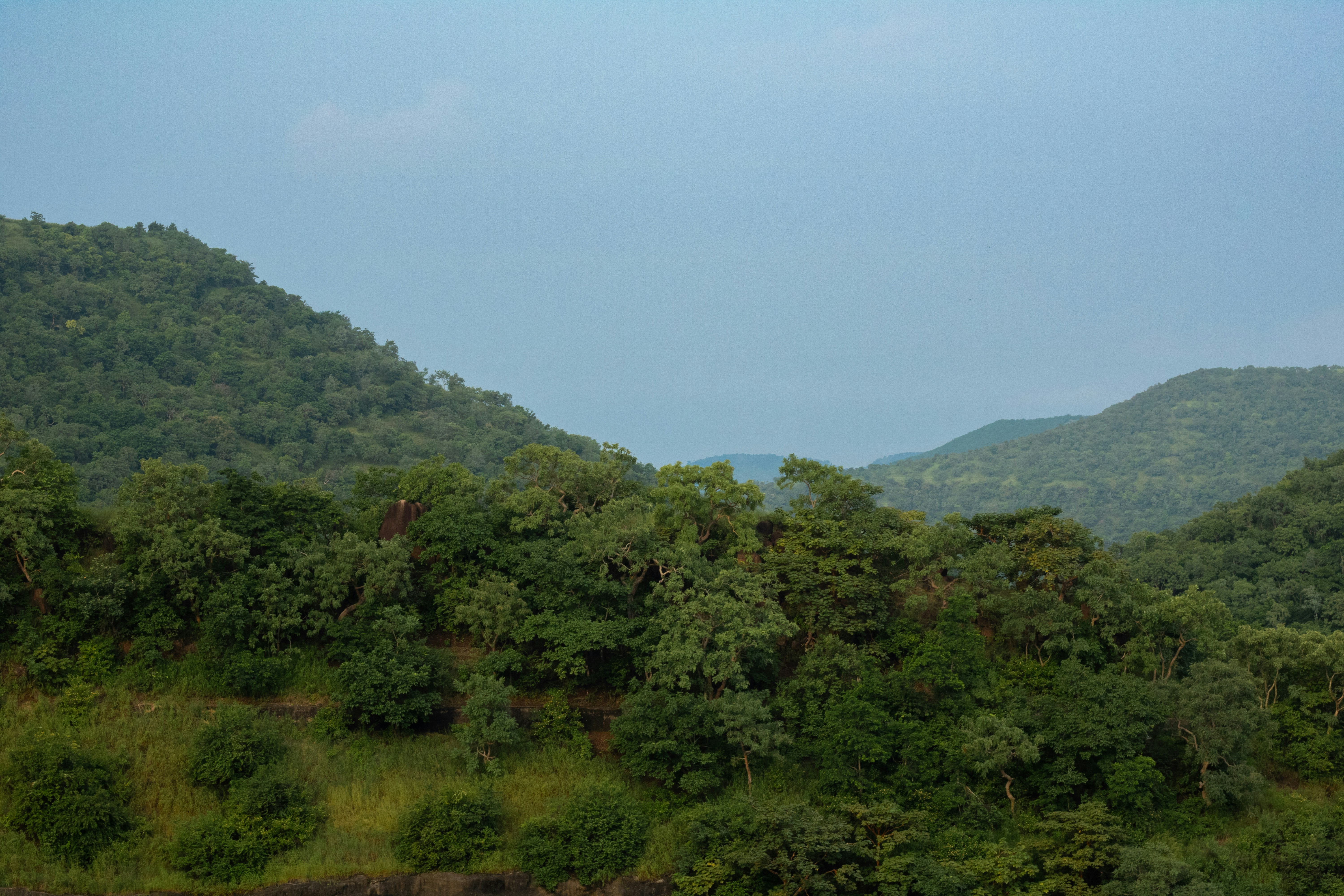 Dense green hills under a blue sky in the Ajanta Caves region of Maharashtra, India