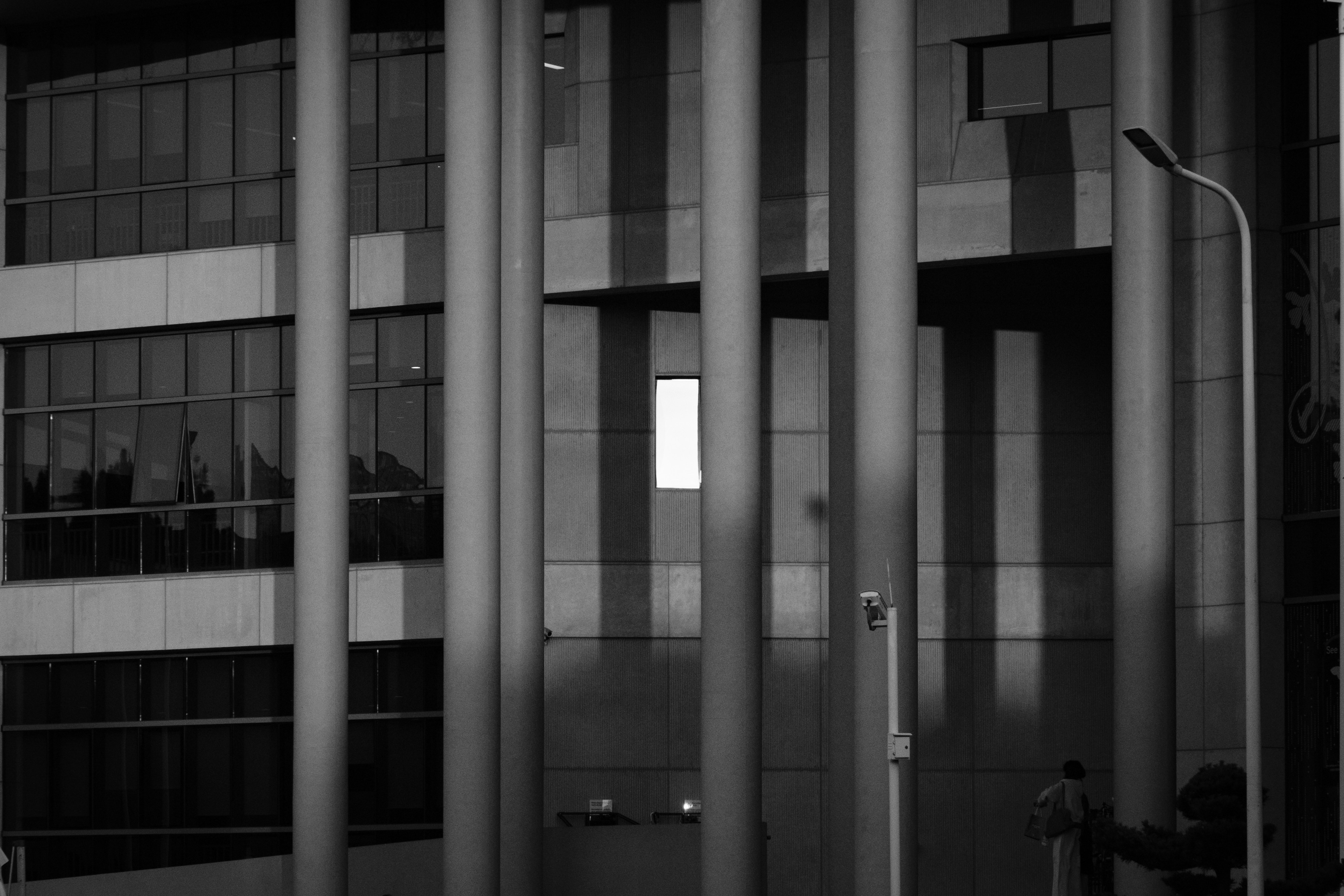 Vertical columns casting long shadows across a modern building facade with glass windows