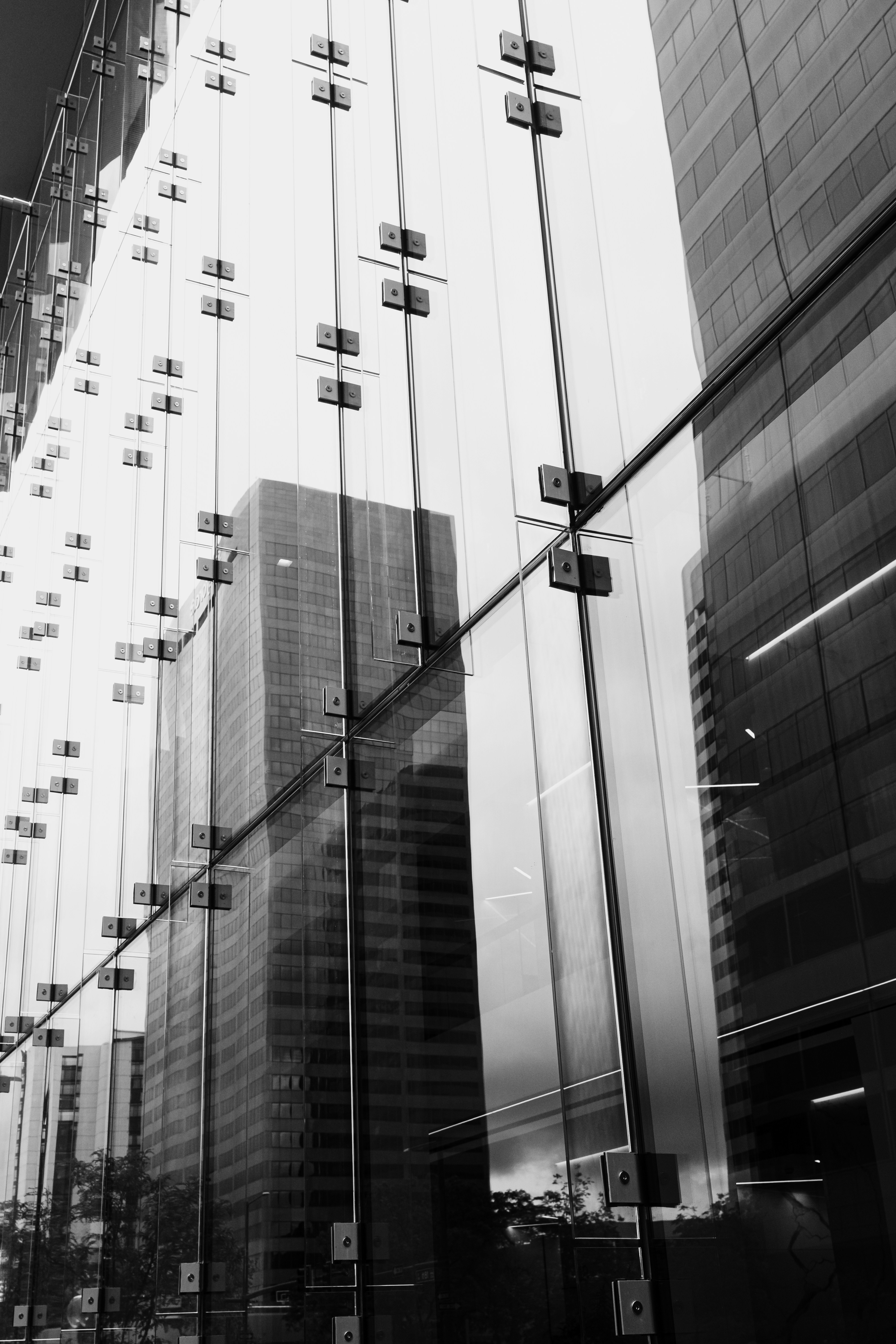 A black and white view of a glass curtain wall with metal fasteners