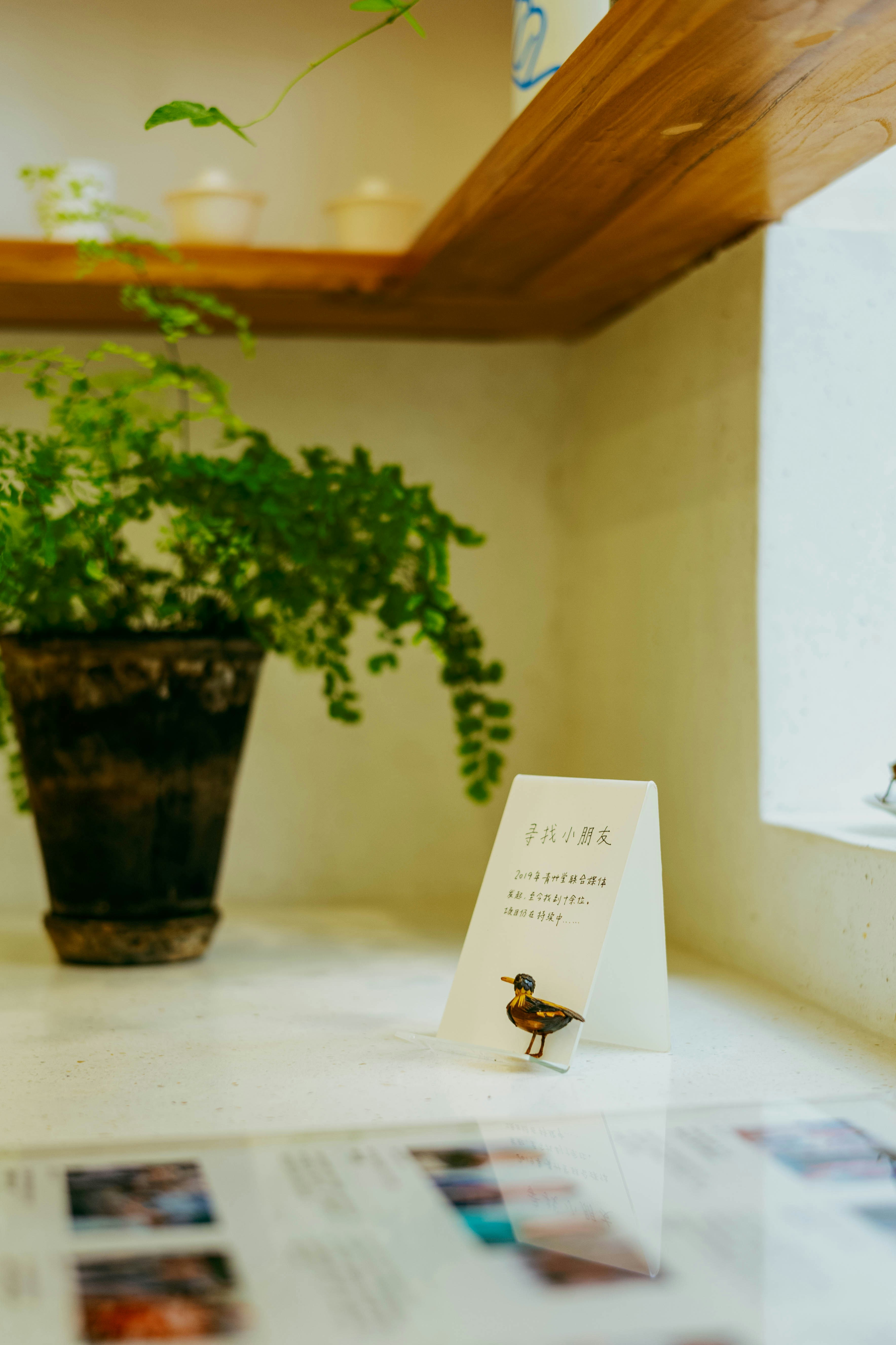 鉢植えのシダの隣に置かれた白いテントカードの小さな鳥の置物