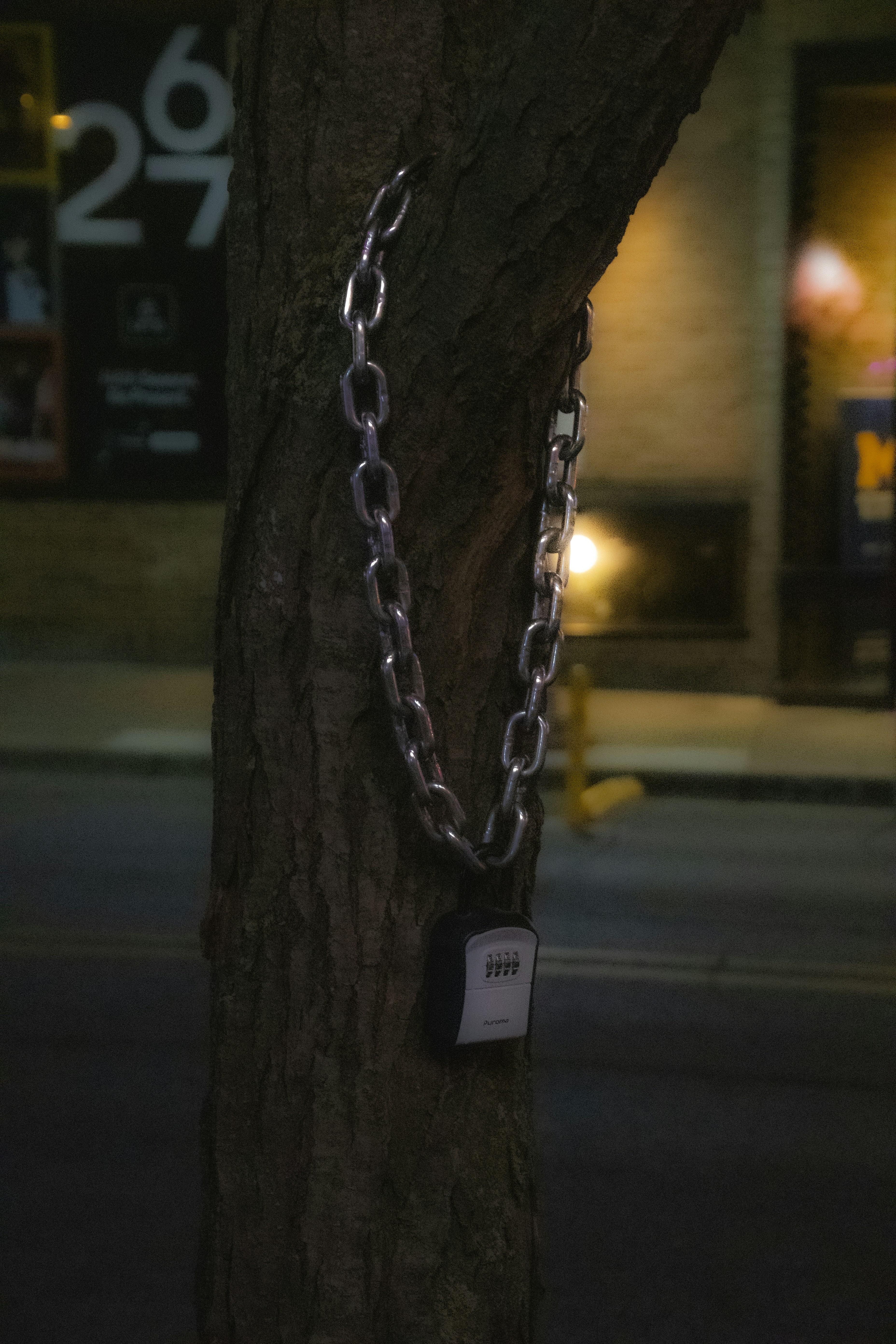 A metal chain wrapped around a tree trunk with a combination lock attached at night