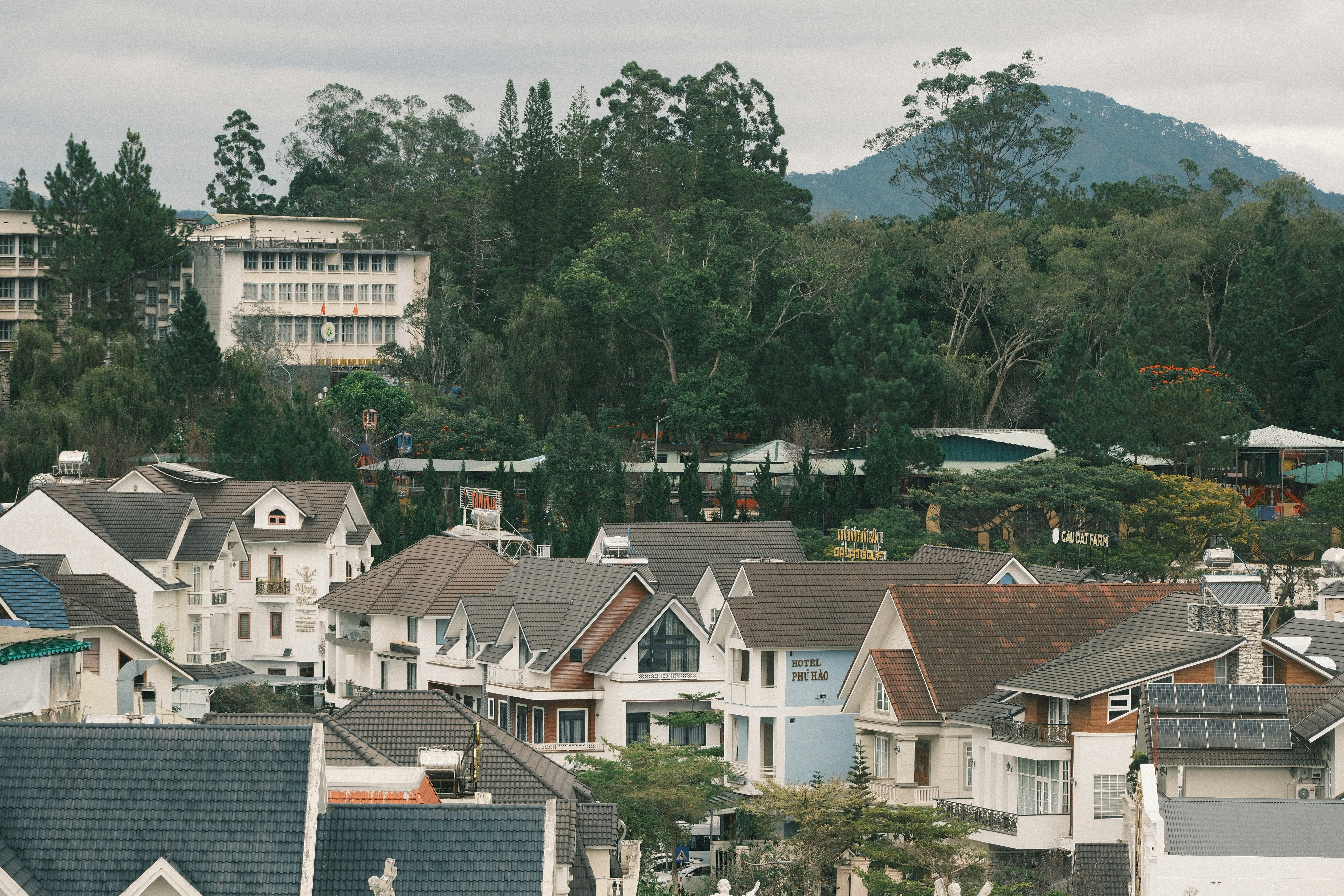 Houses with pitched roofs nestled among dense green trees in Da Lat, Vietnam