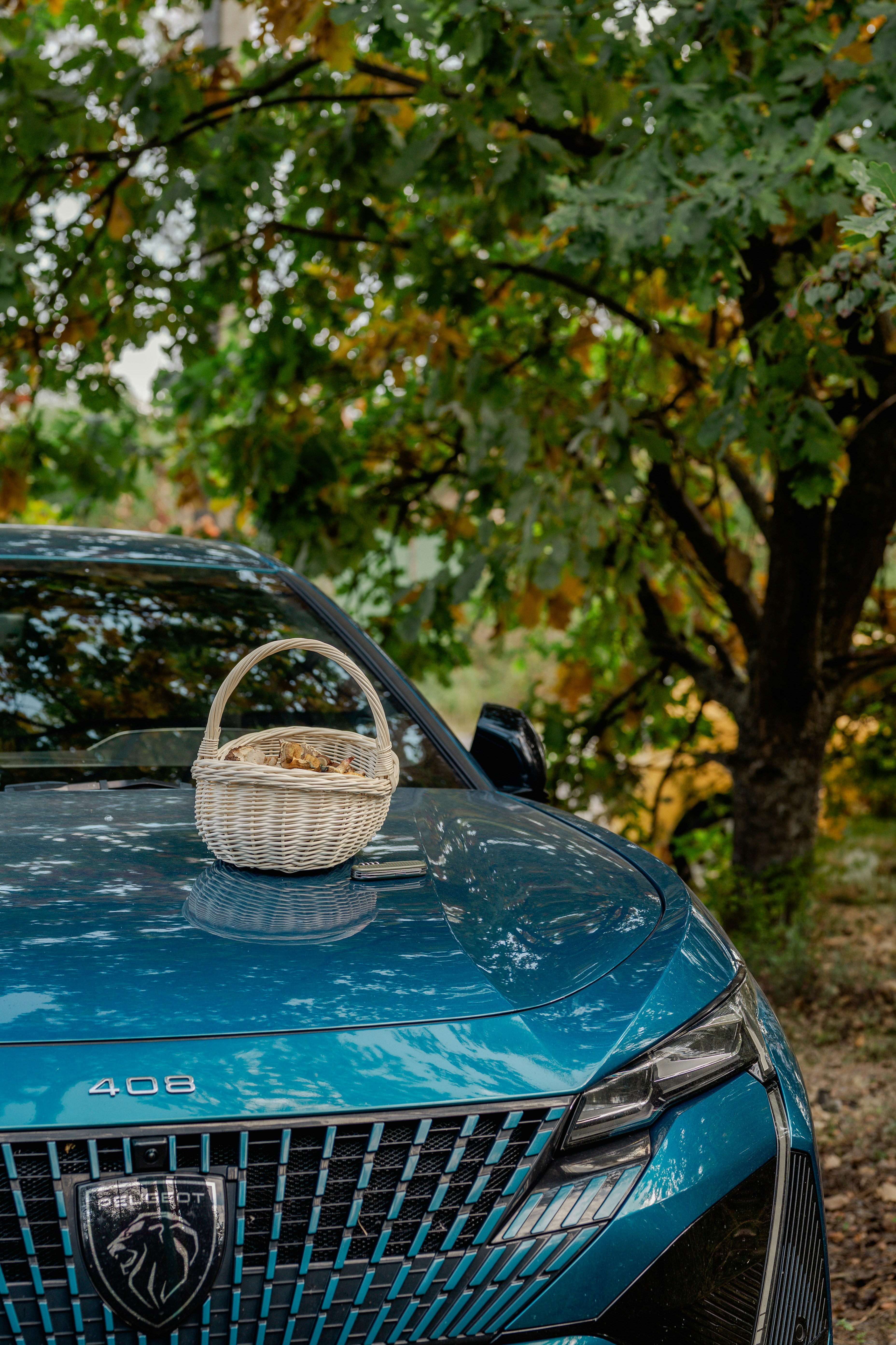 Una cesta de mimbre blanca con setas en el capó de un Peugeot 408 azul