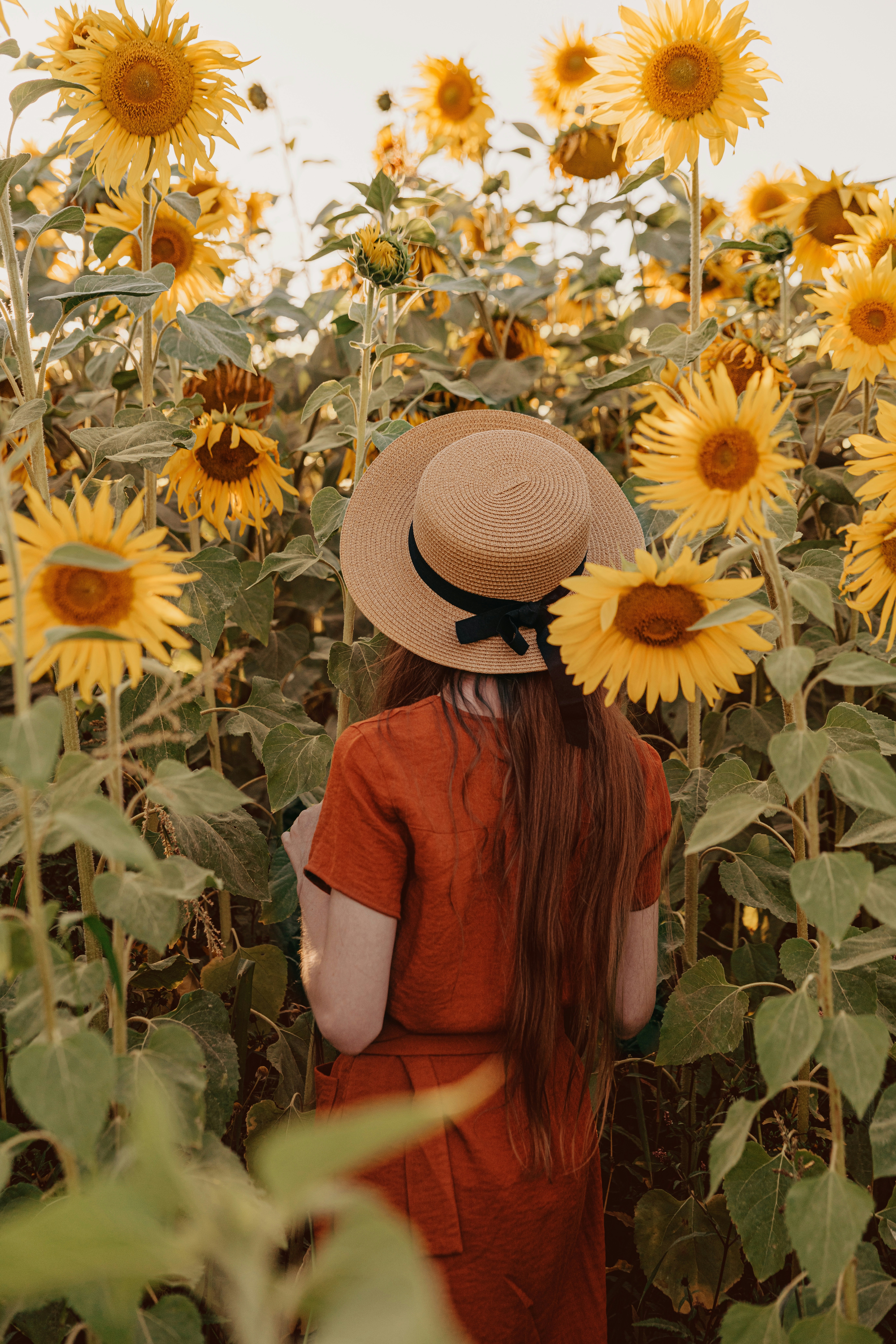 A person with long hair wearing a straw hat in a field of sunflowers