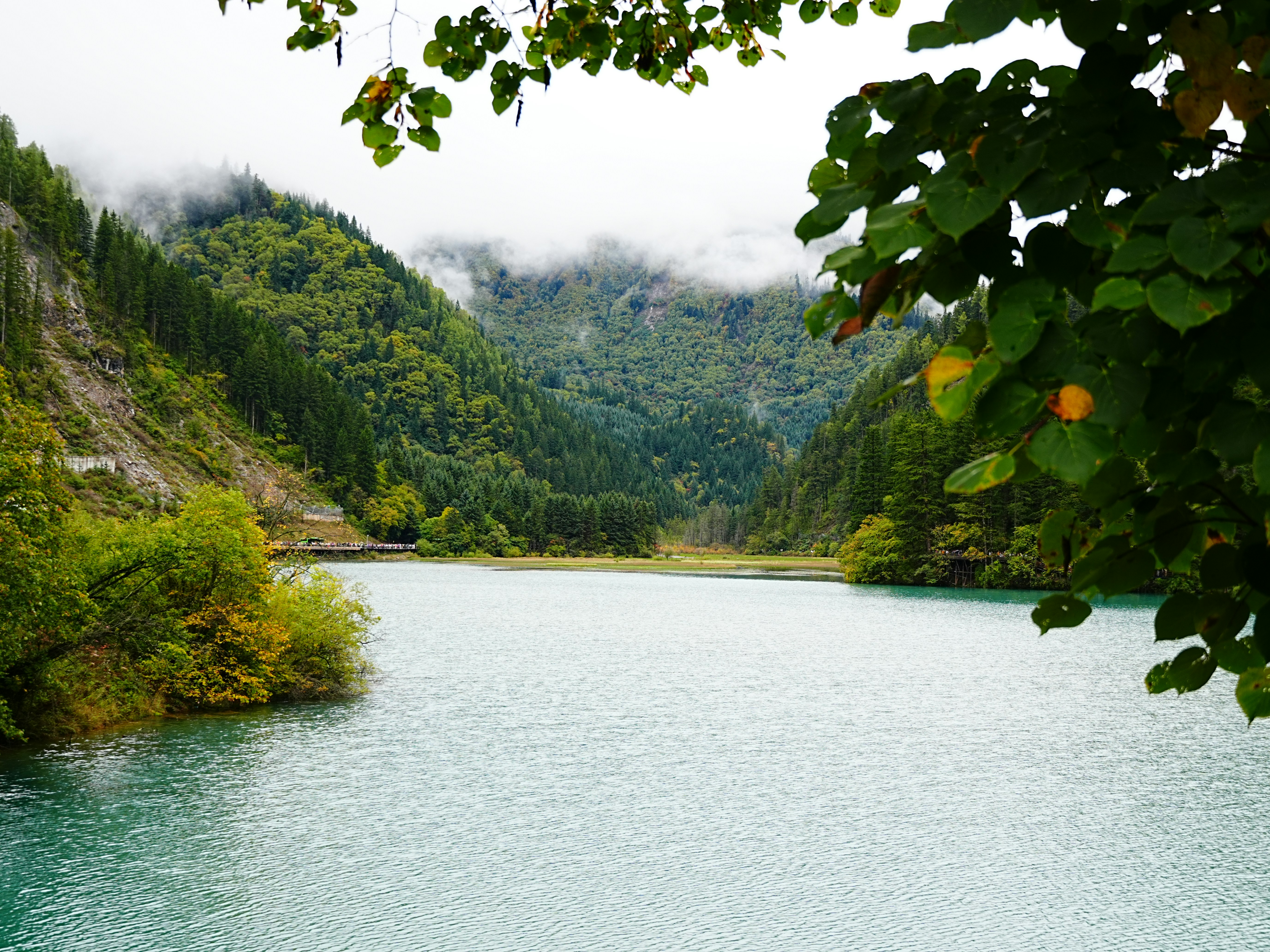 Turquoise lake in forested mountains - Free Photo on Unsplash
