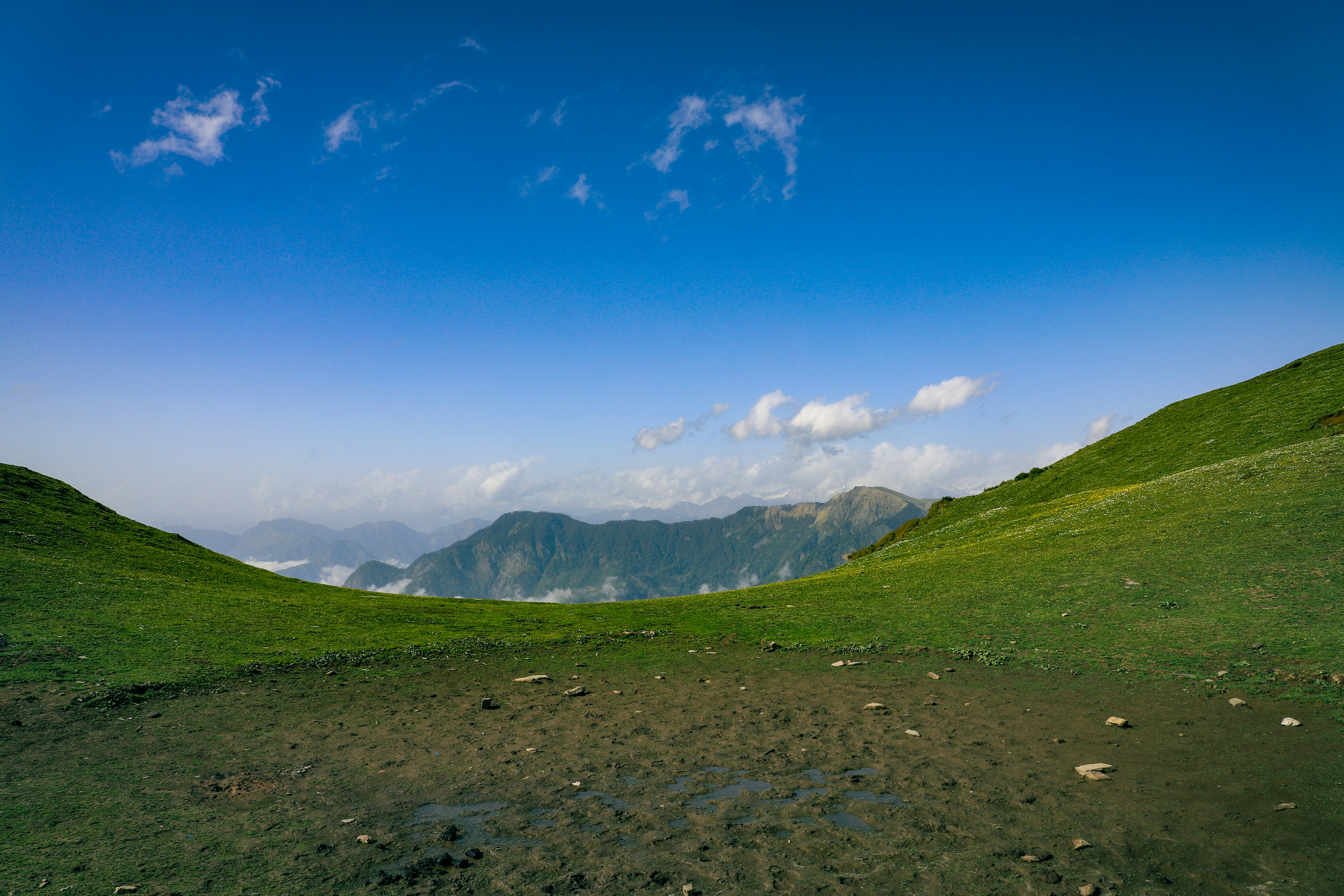 A green mountain meadow with a muddy foreground under a clear blue sky