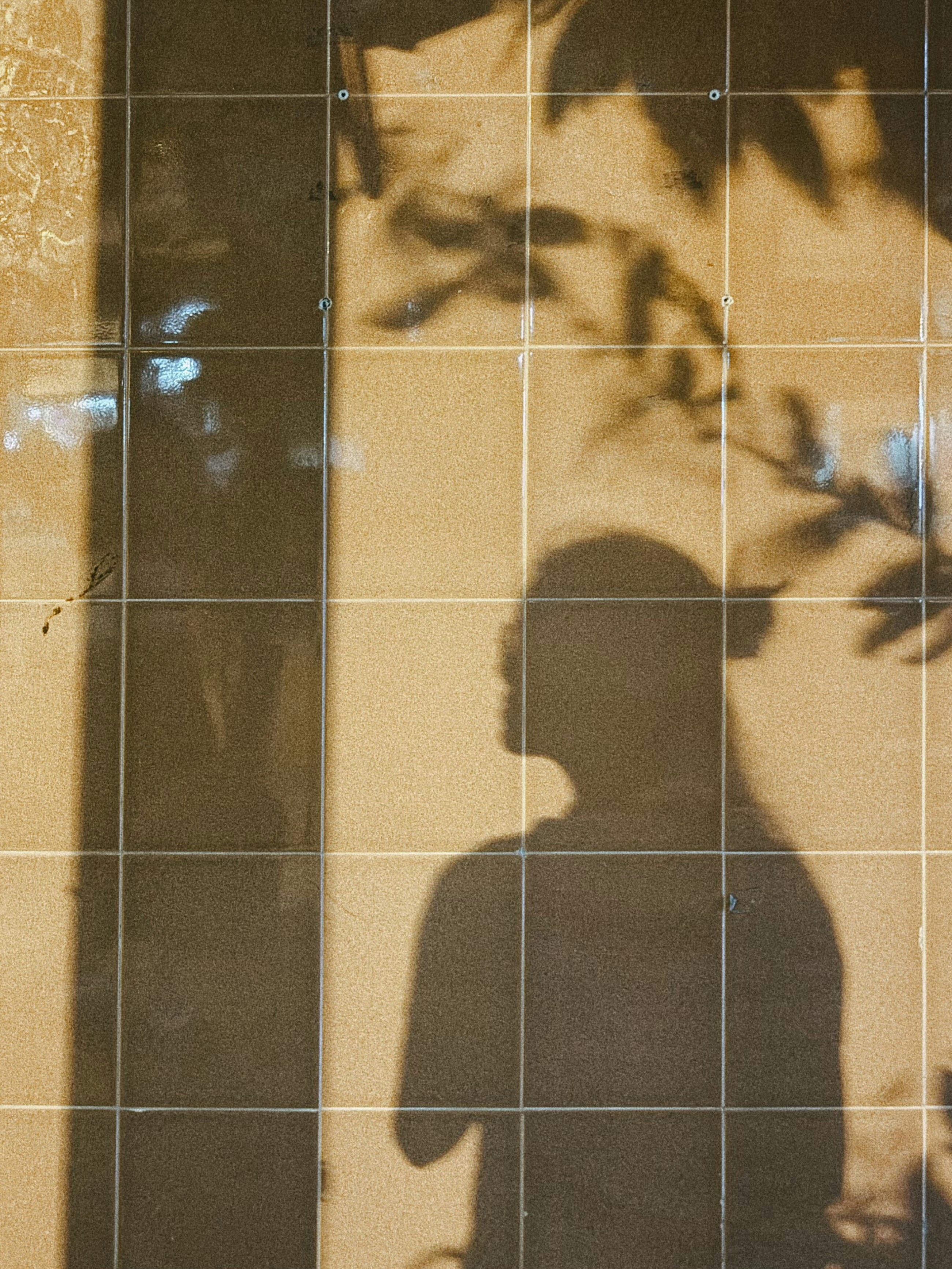 A person in silhouette against a tiled wall with leafy branch shadows