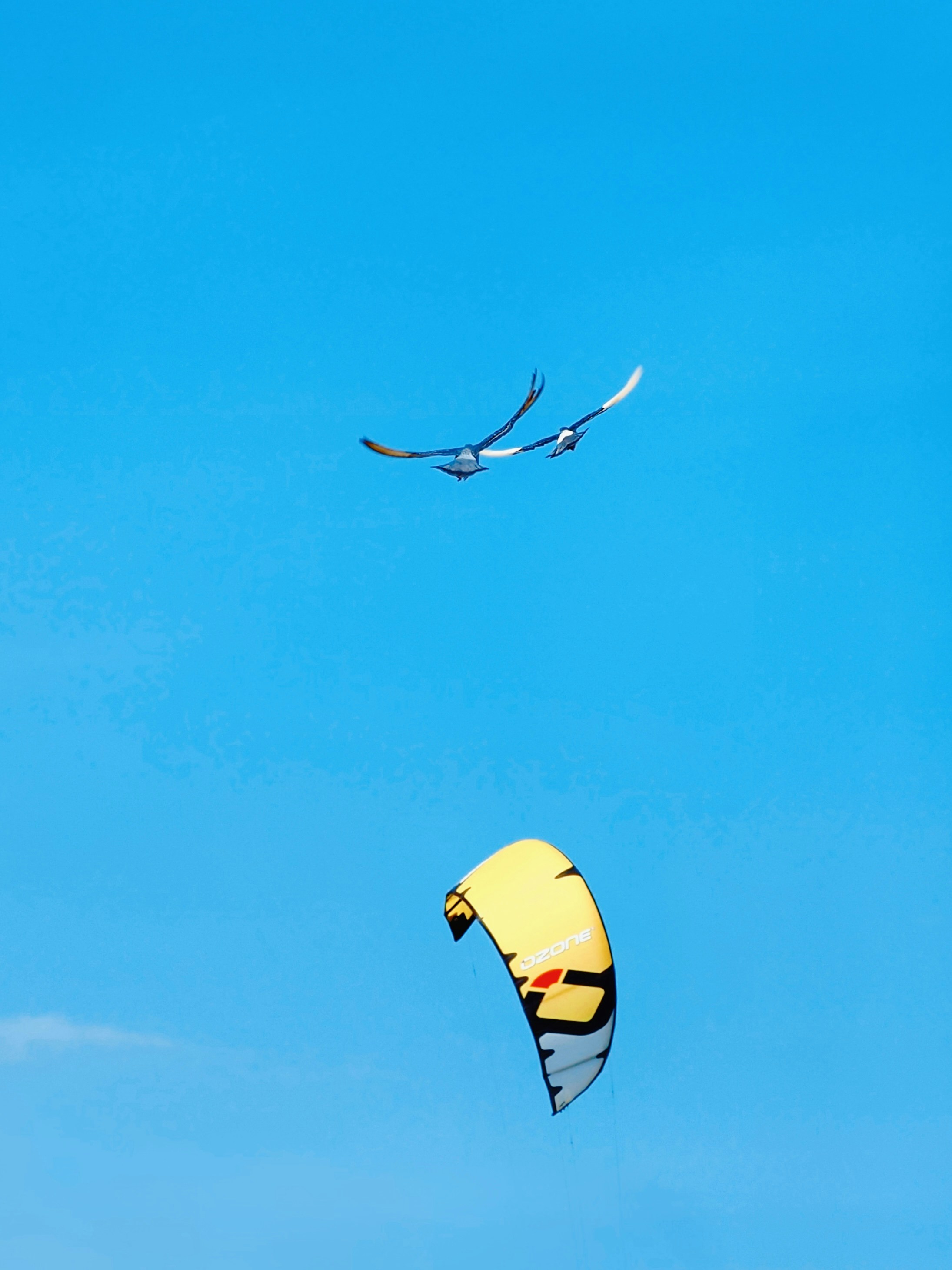 A yellow kite flying in a clear blue sky with two birds
