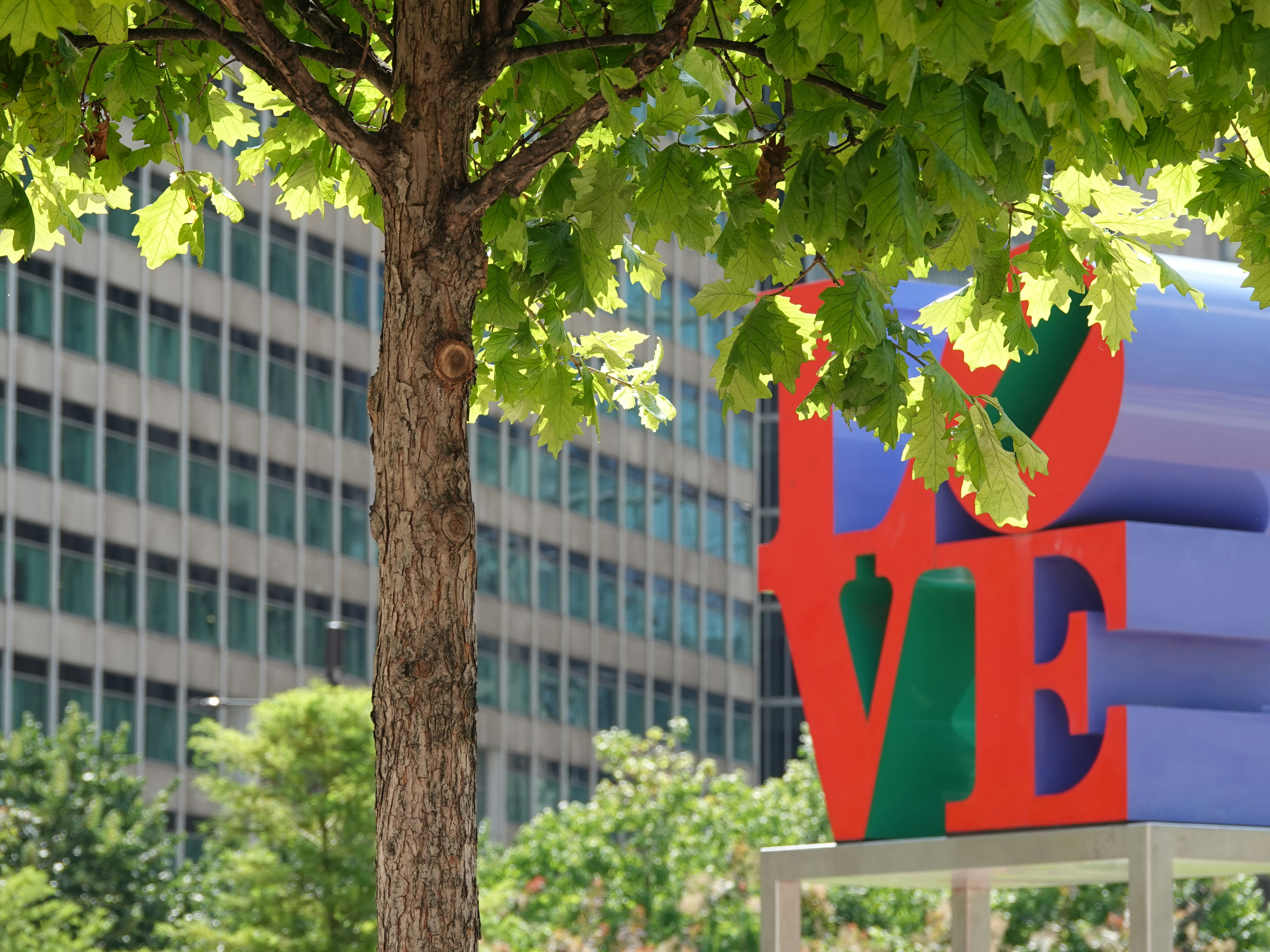 La scultura LOVE di Robert Indiana a Philadelphia con un albero in primo piano
