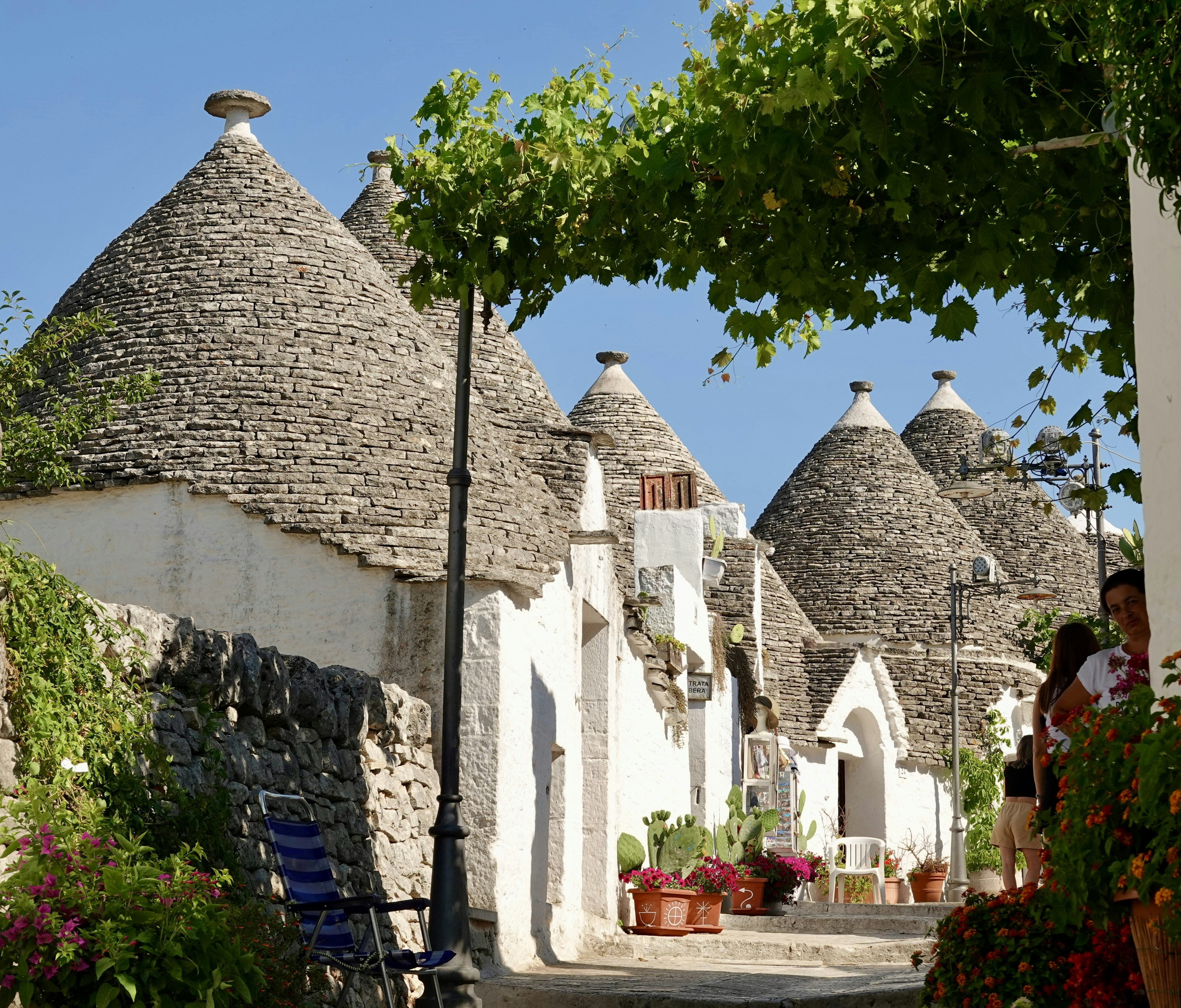 Stradina di Alberobello con case in pietra tipo trullo e tetti conici, piante e fiori lungo i muri
