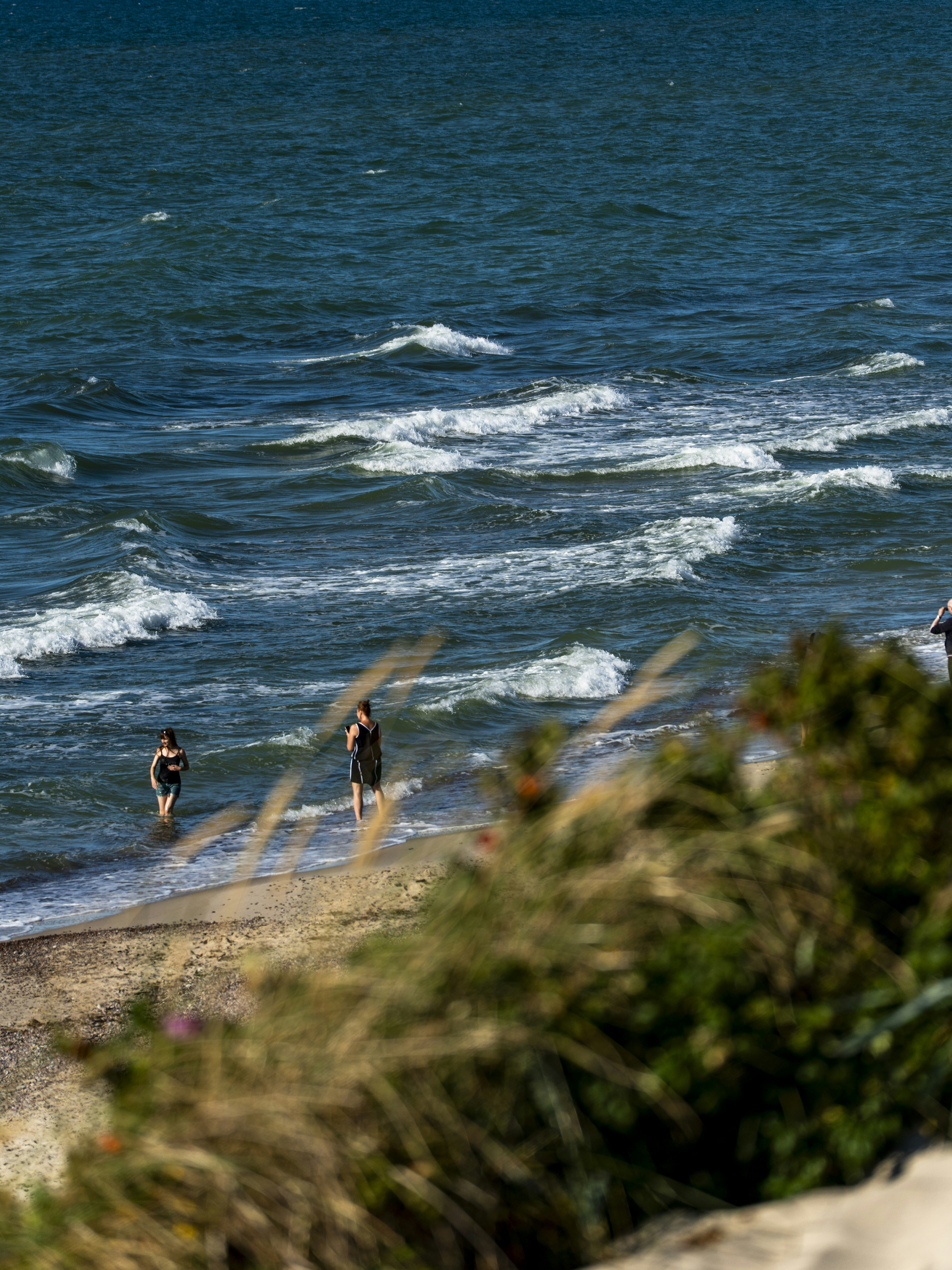 Two people wading in the surf on a sunny beach with dune grass in the foreground