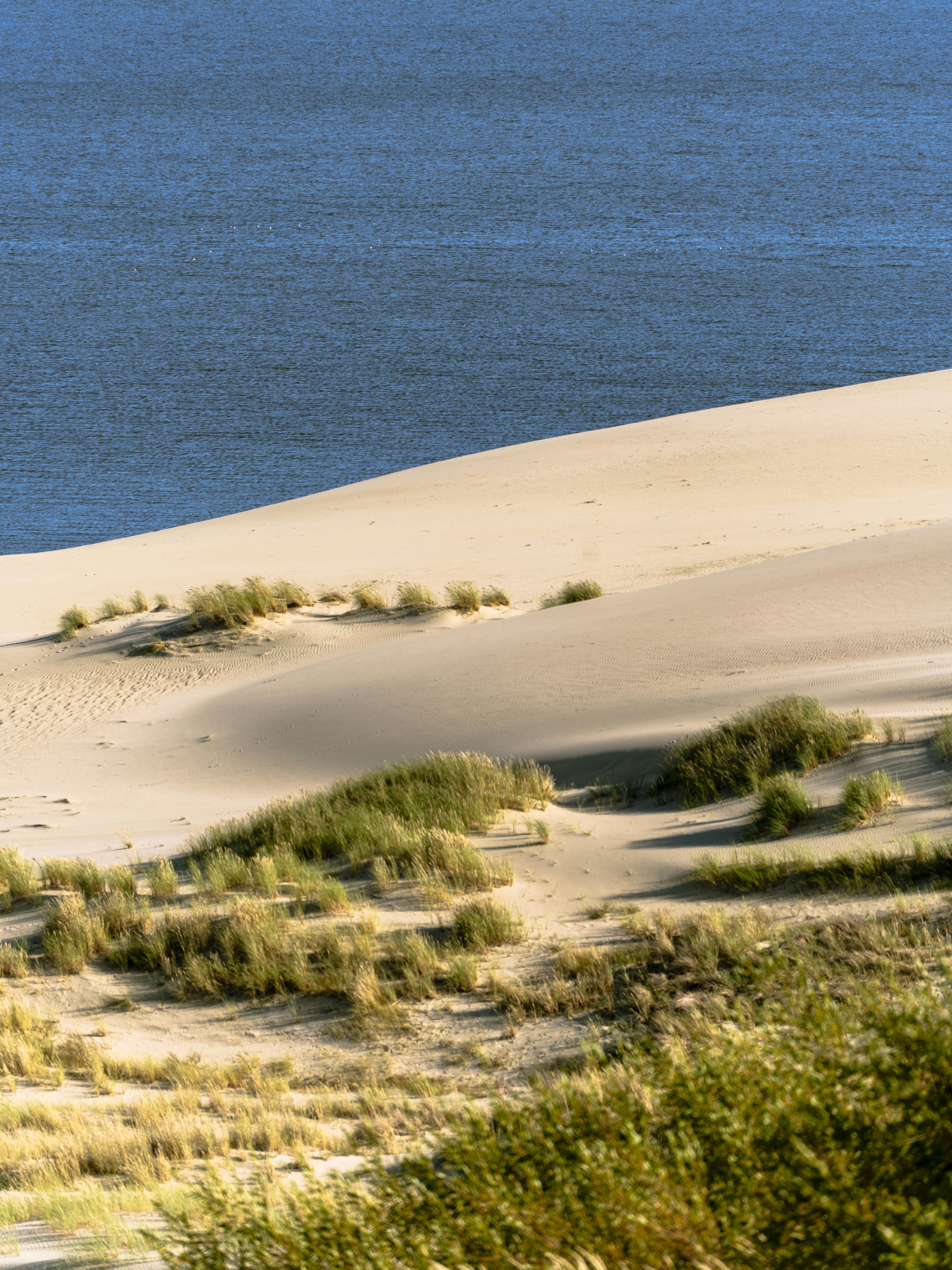 Sand dunes with patches of green grass sloping down to deep blue water