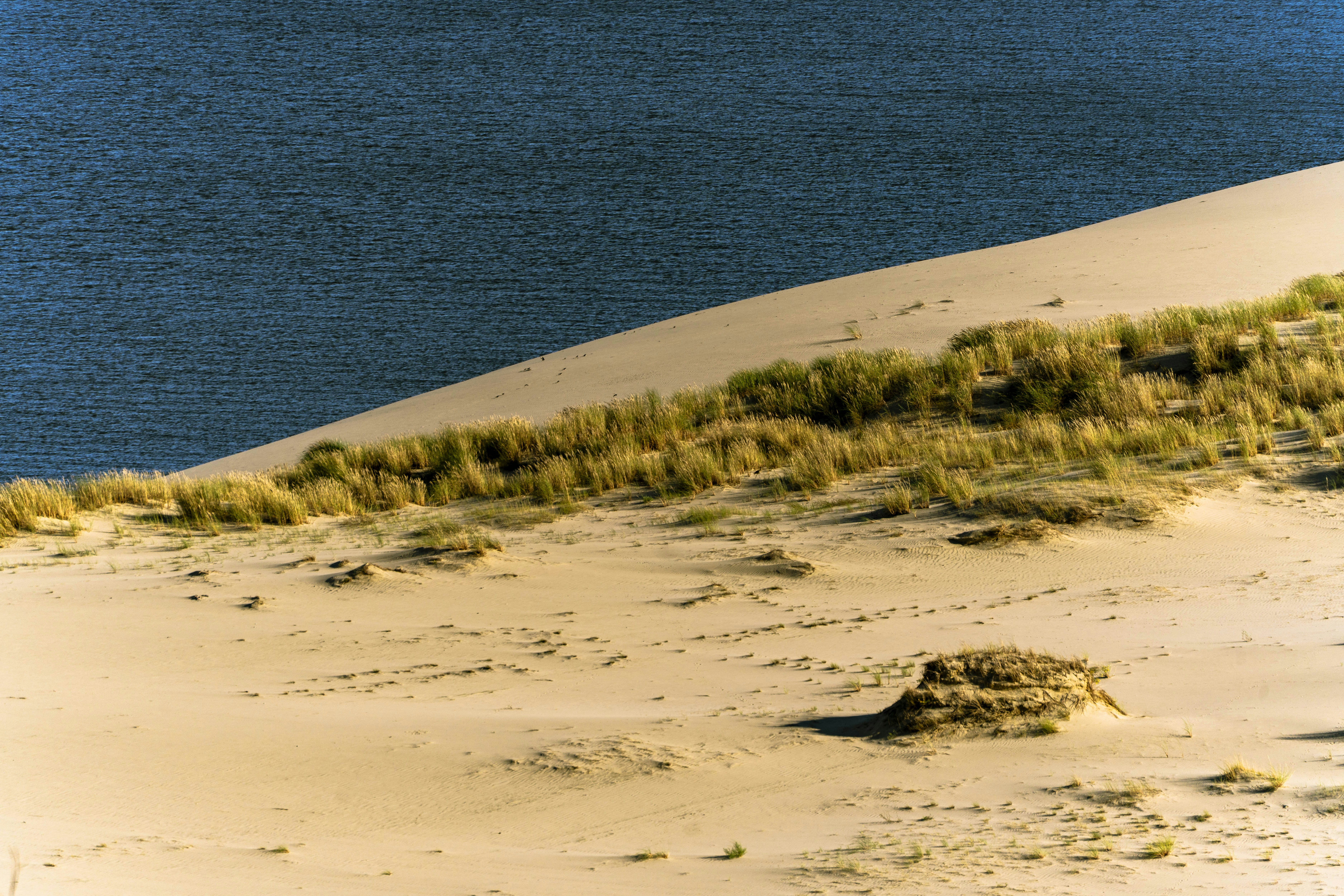 A sandy dune with patches of tall grass meeting deep blue water