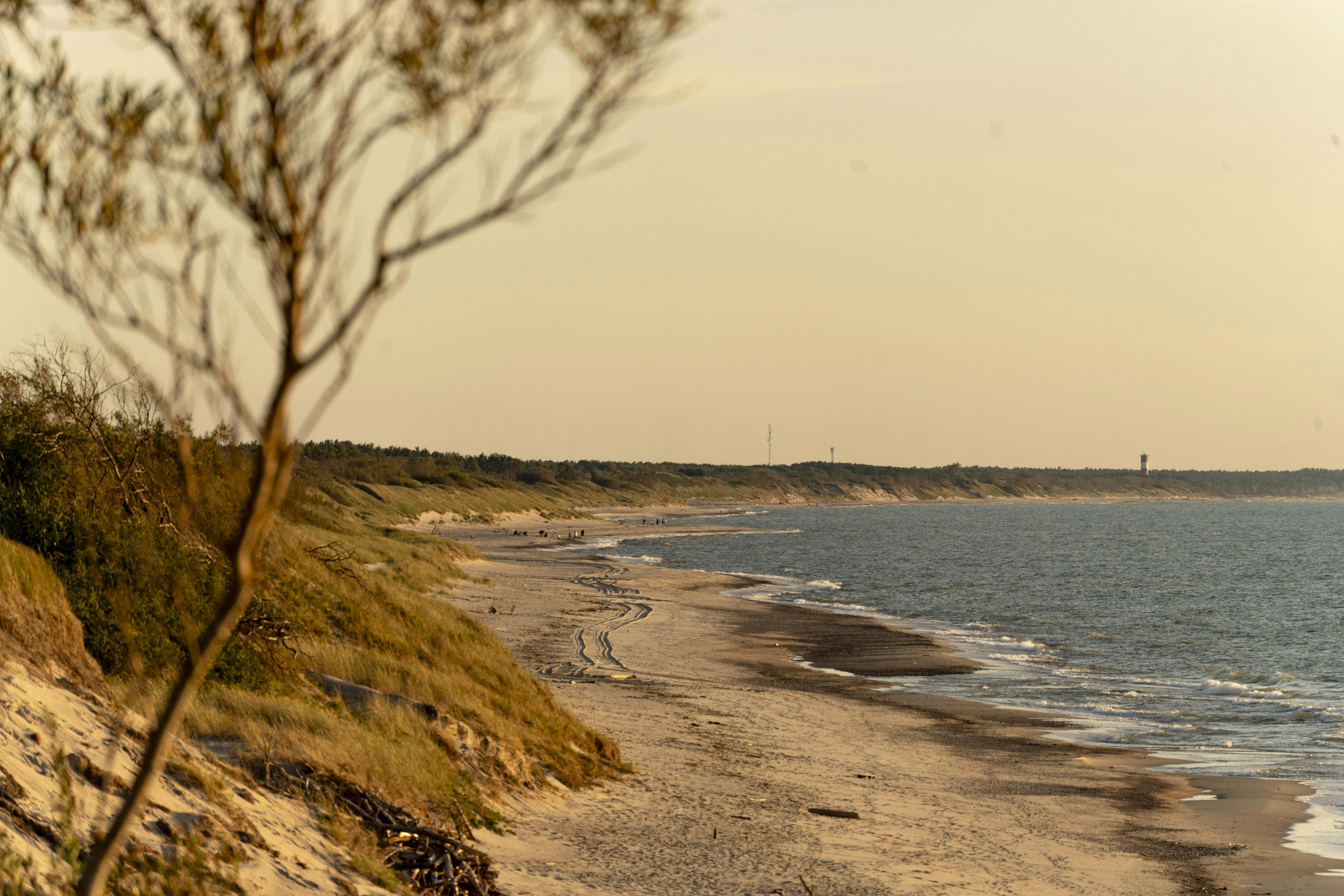 A sandy beach with tire tracks along the coast under a warm golden sky