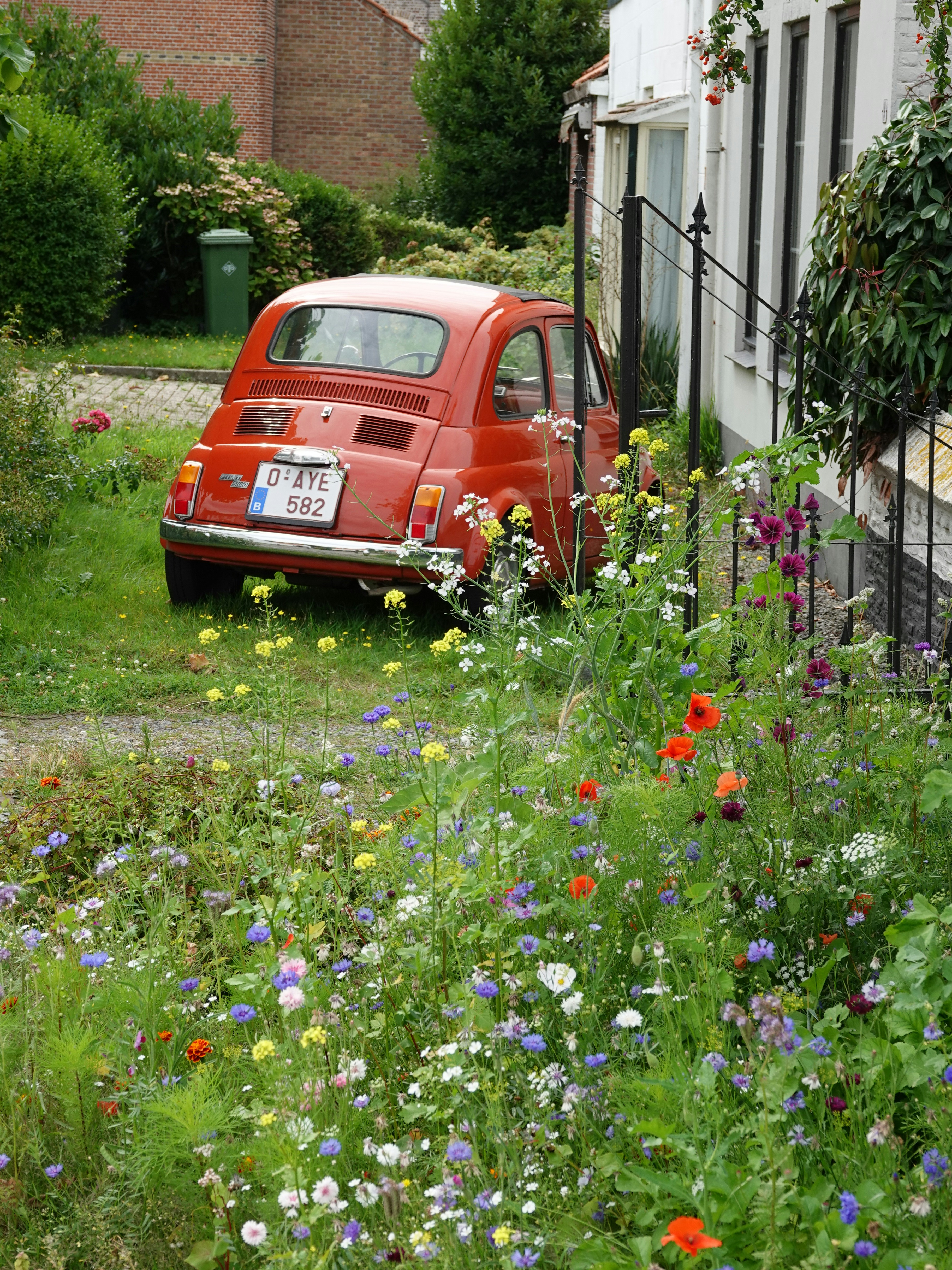 A vintage red Fiat 500 parked on a grassy verge beside a garden of wildflowers