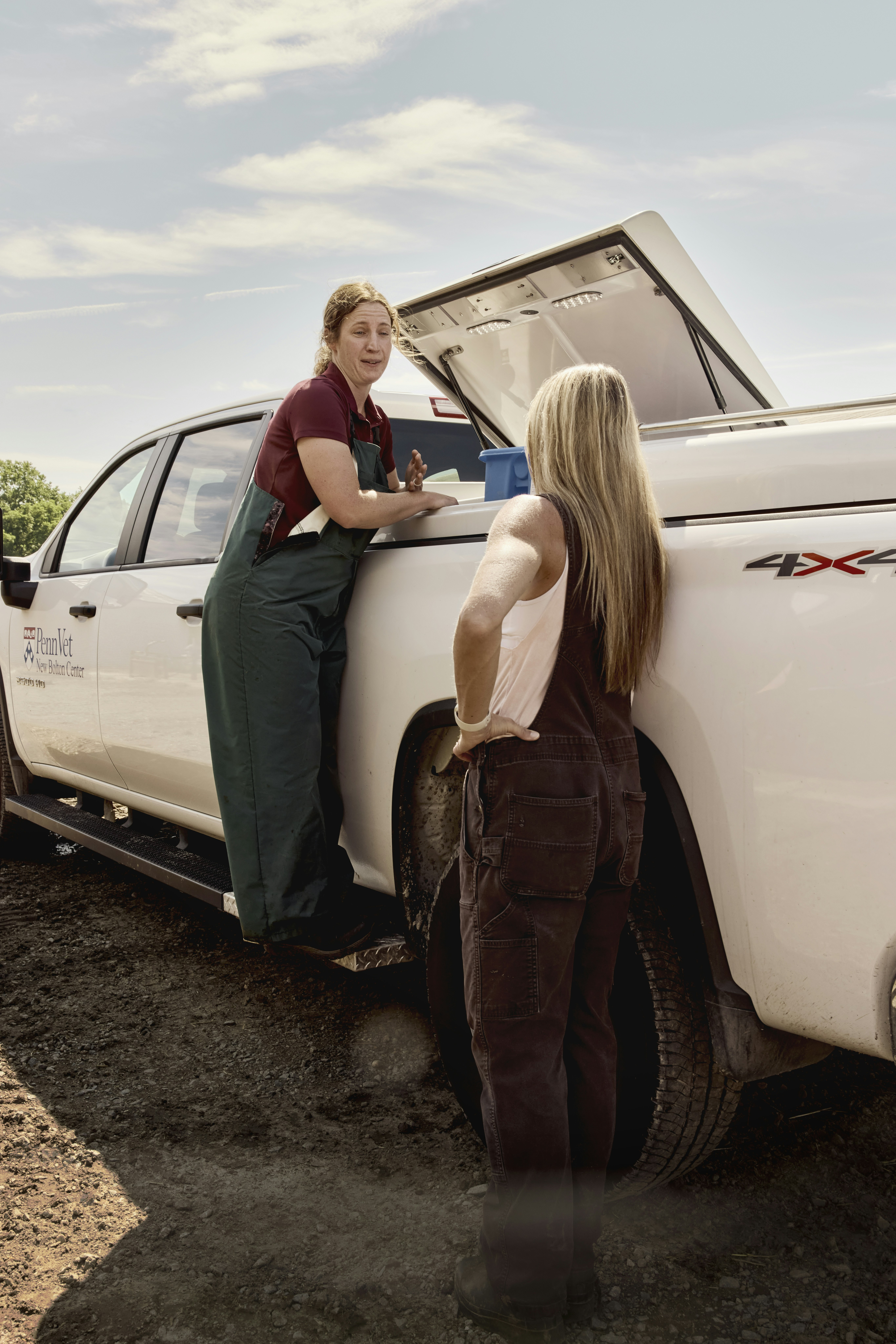 Woman dairy farmer and veterinarian besides pickup truck. Maryland, USA.