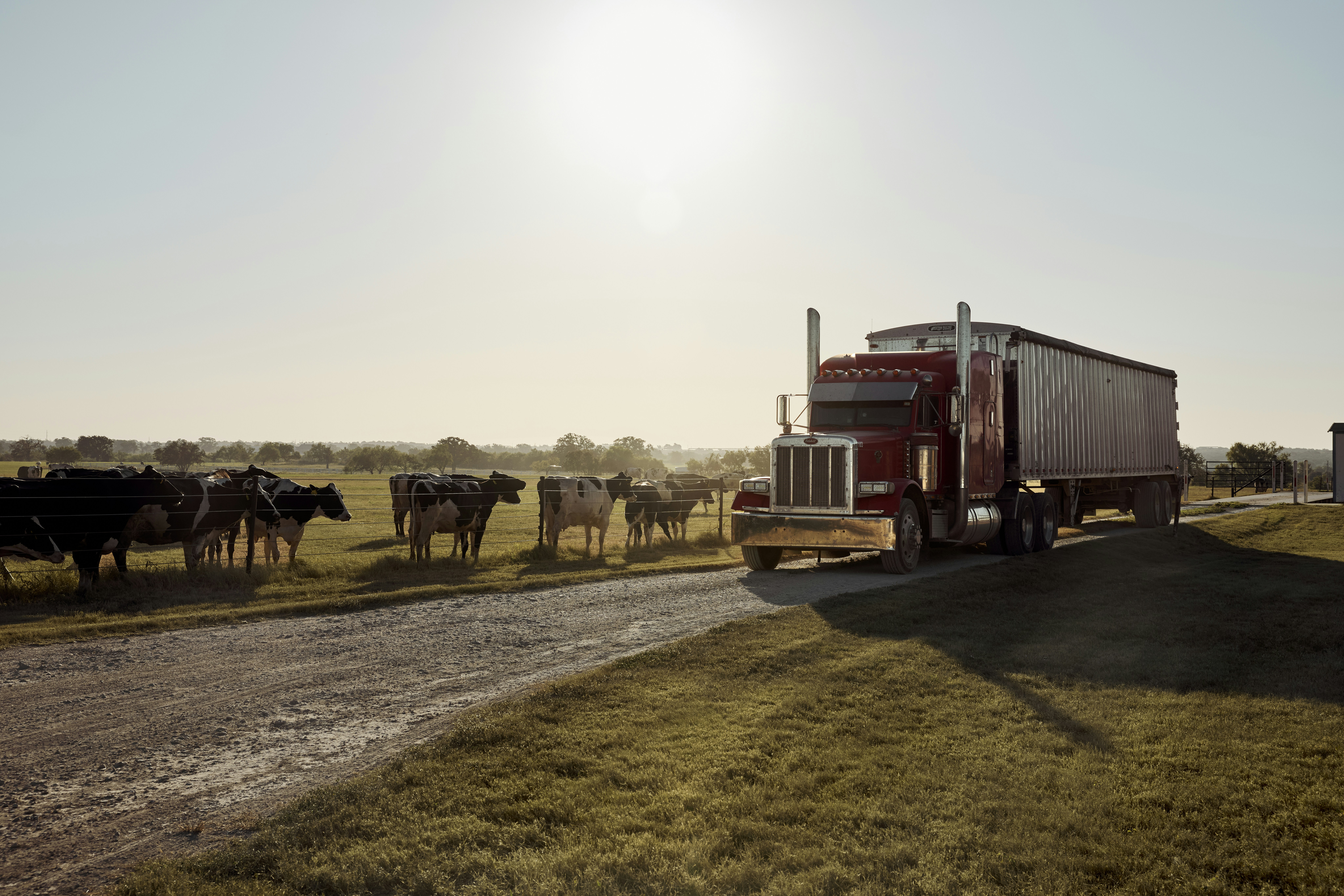 Truck driving on a country road