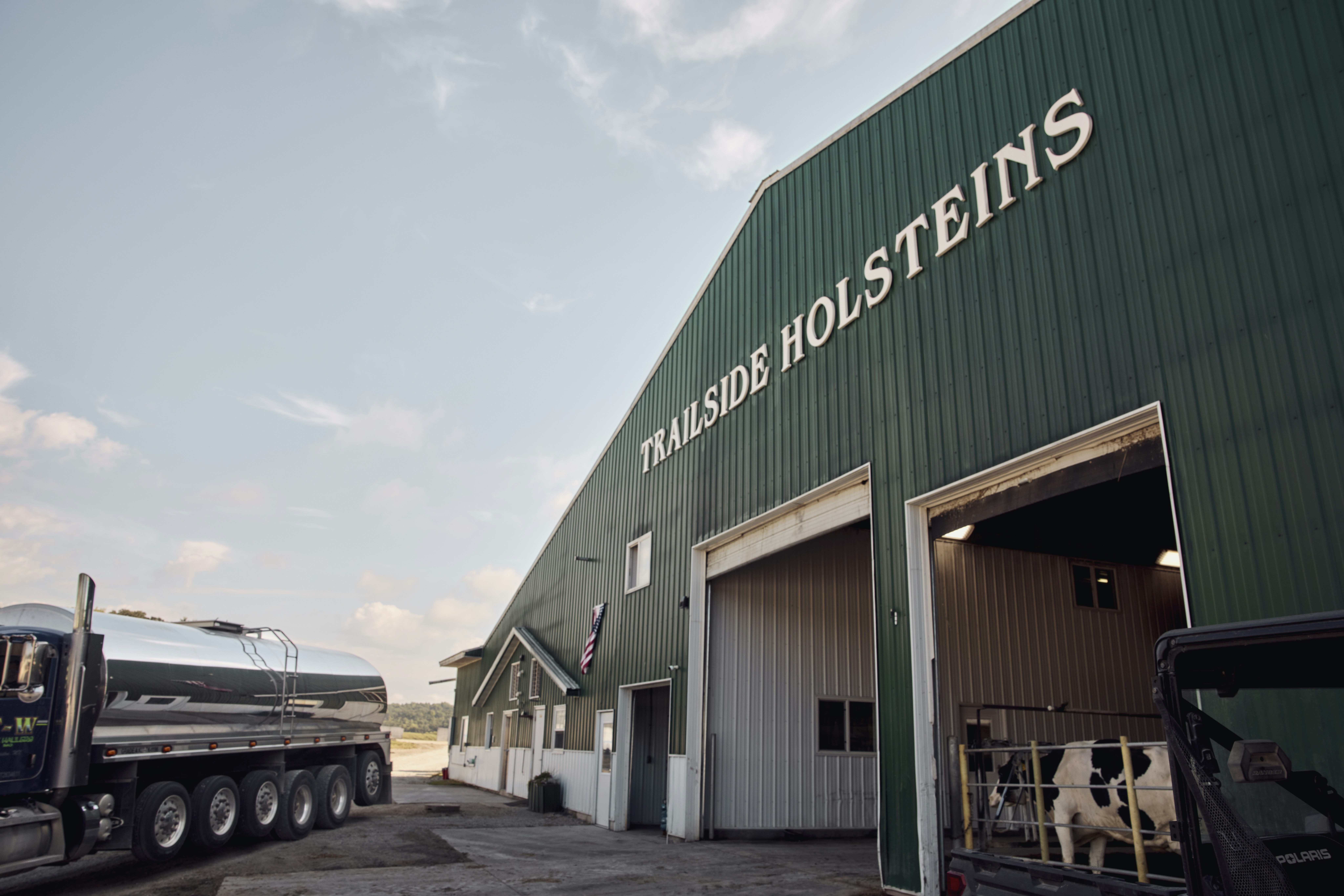 Portraits of Modern Dairy