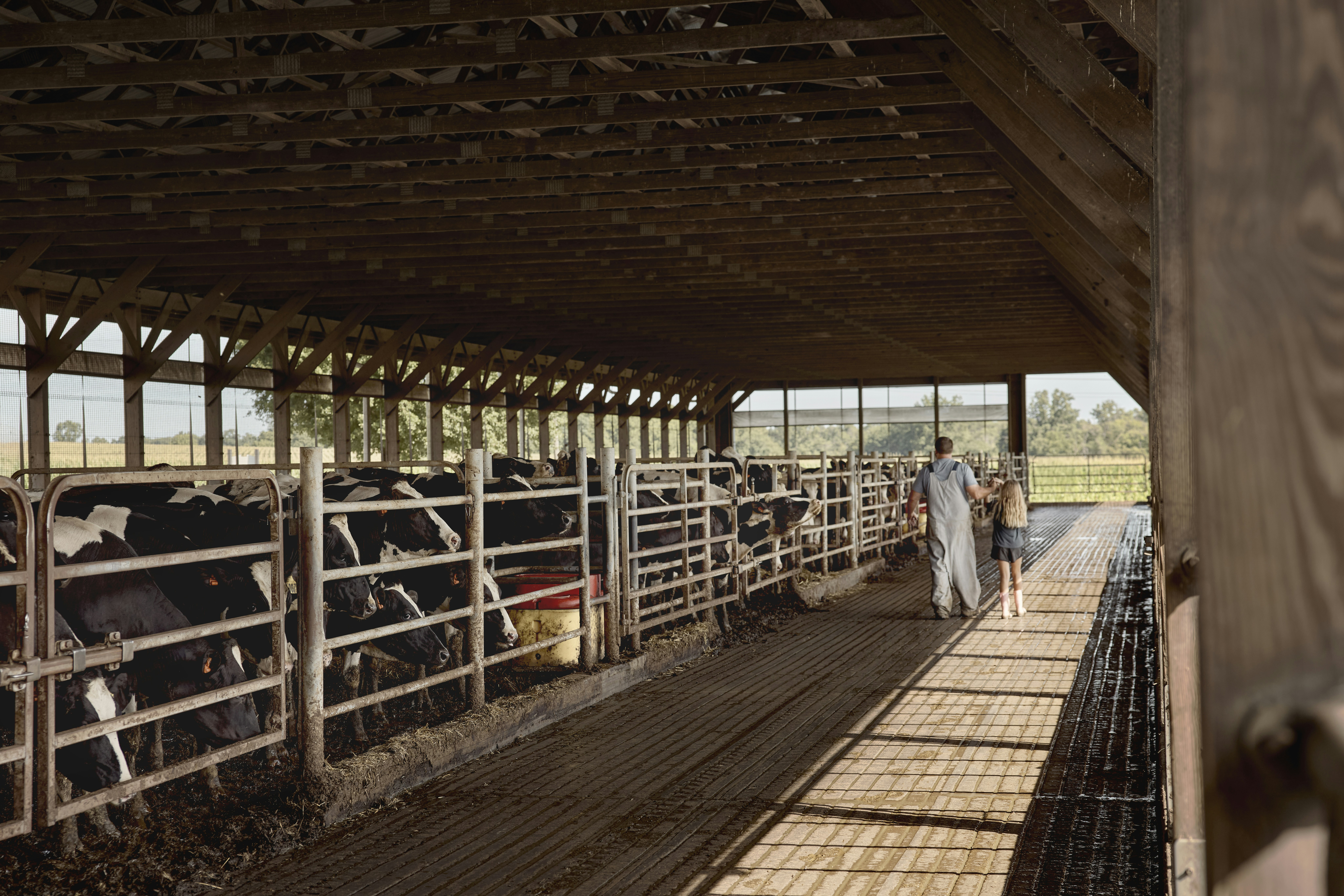 Sunlight falling across a dairy barn. Maryland, USA.