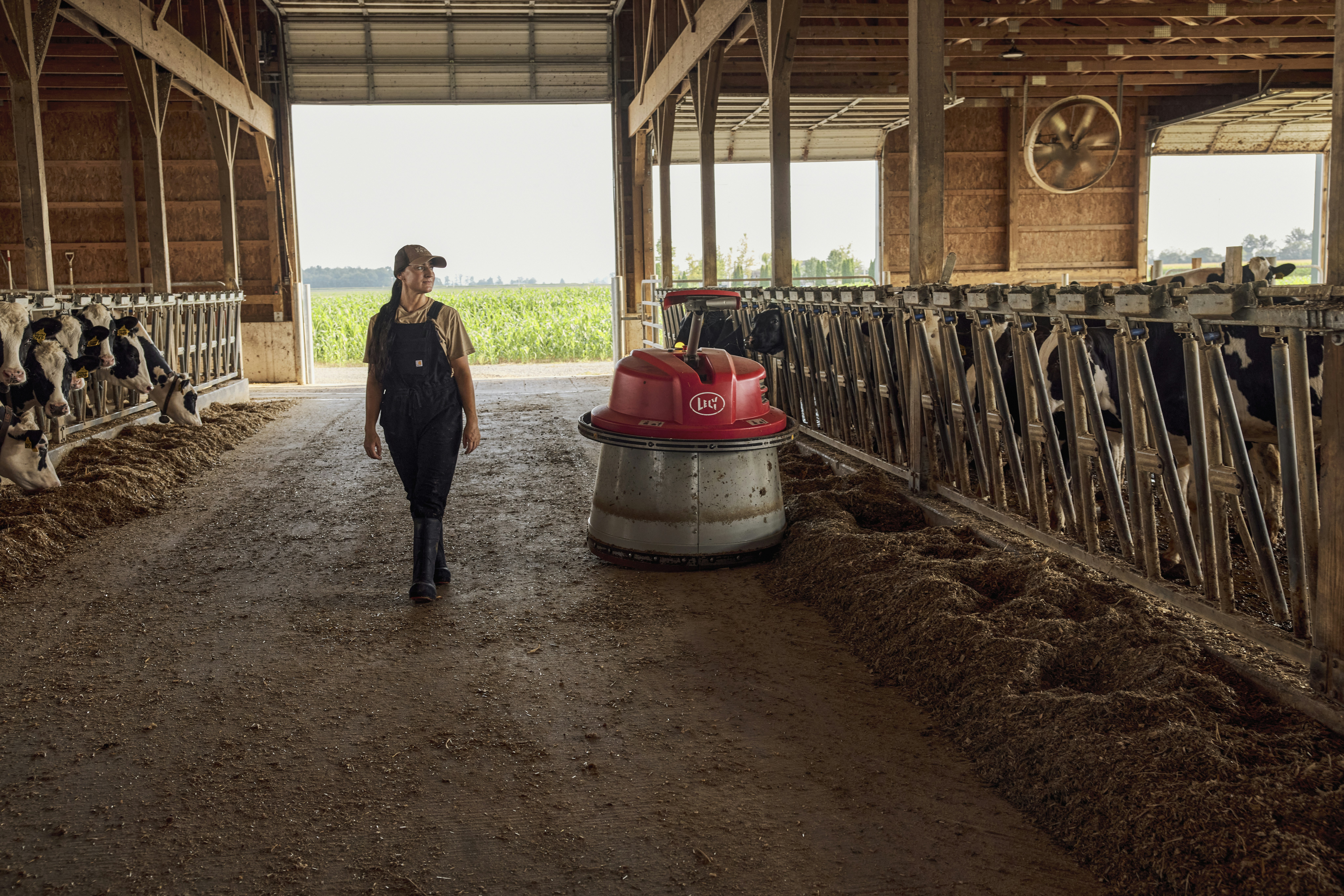 Woman walking beside an automated feed pusher. Ohio, USA.