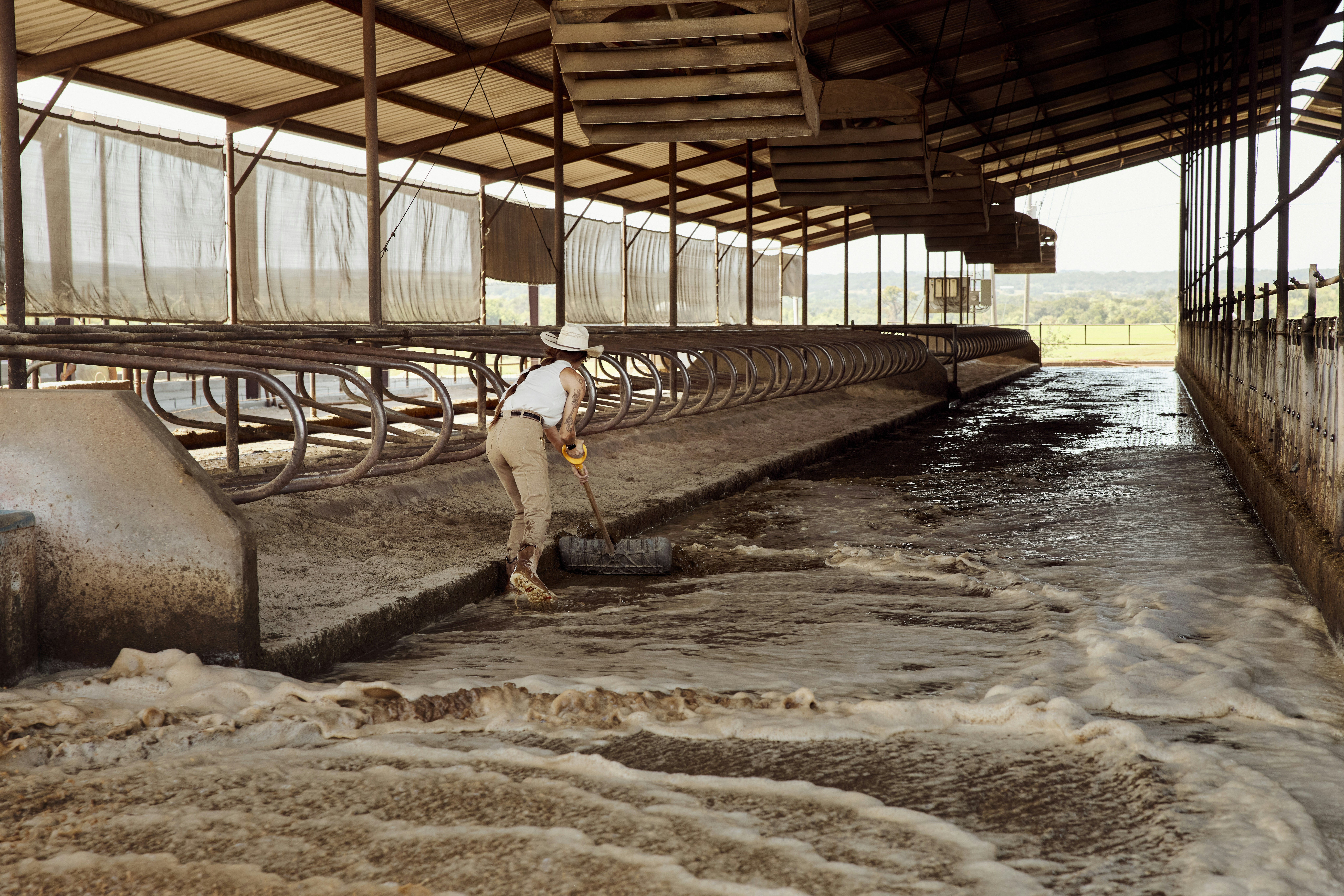 Woman cleaning a dairy barn