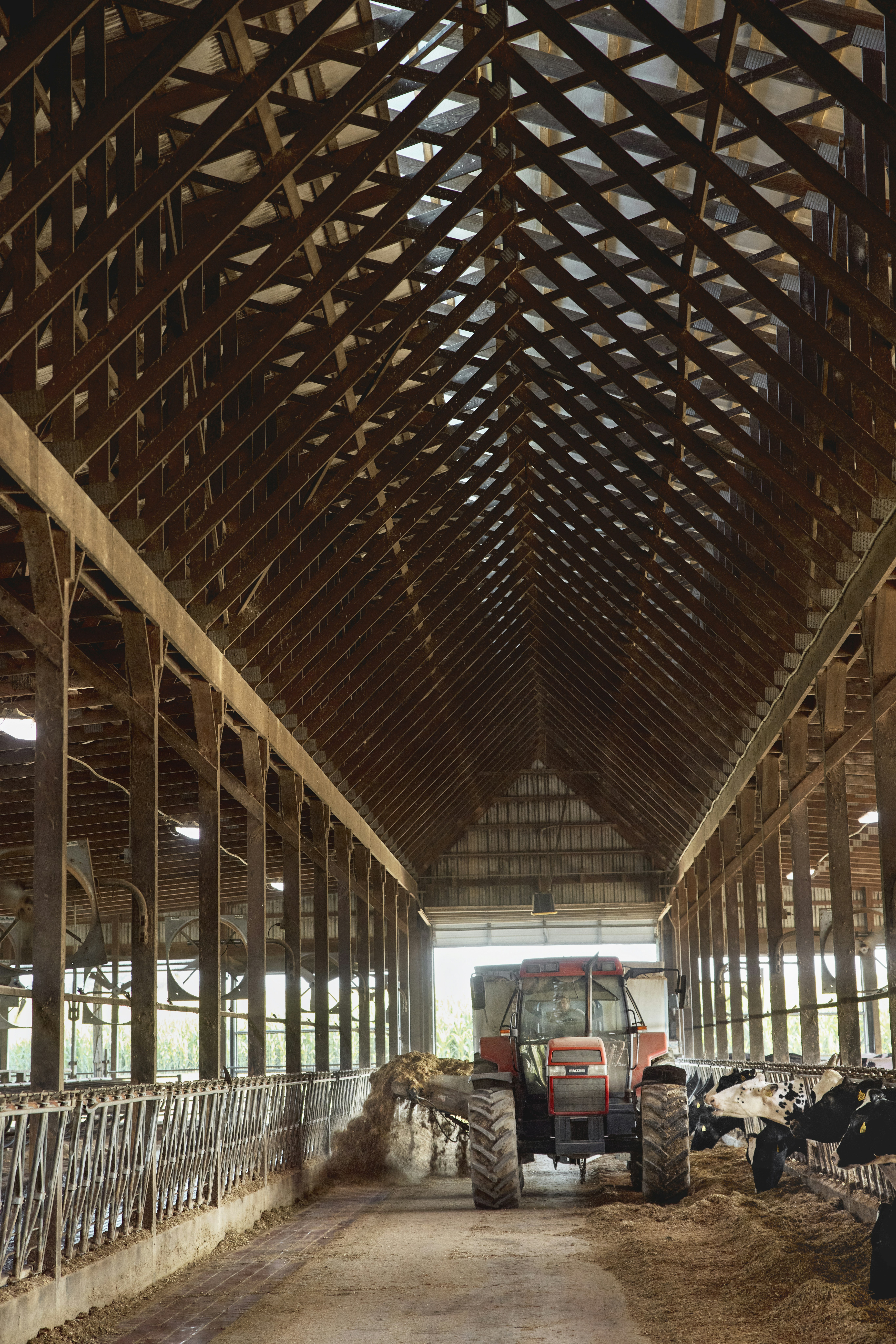 Tractor inside a wooden dairy barn