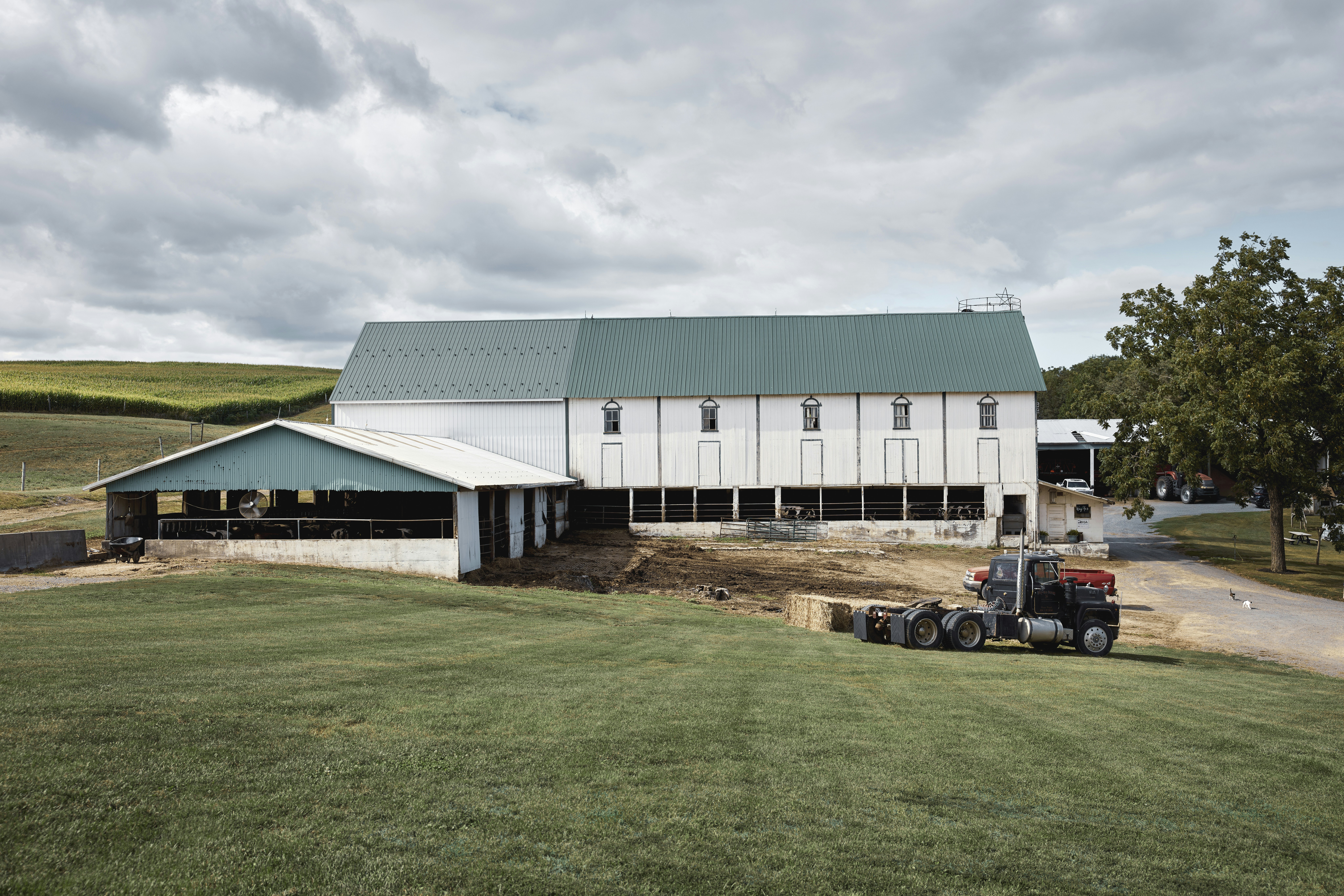 Barn beside a pasture