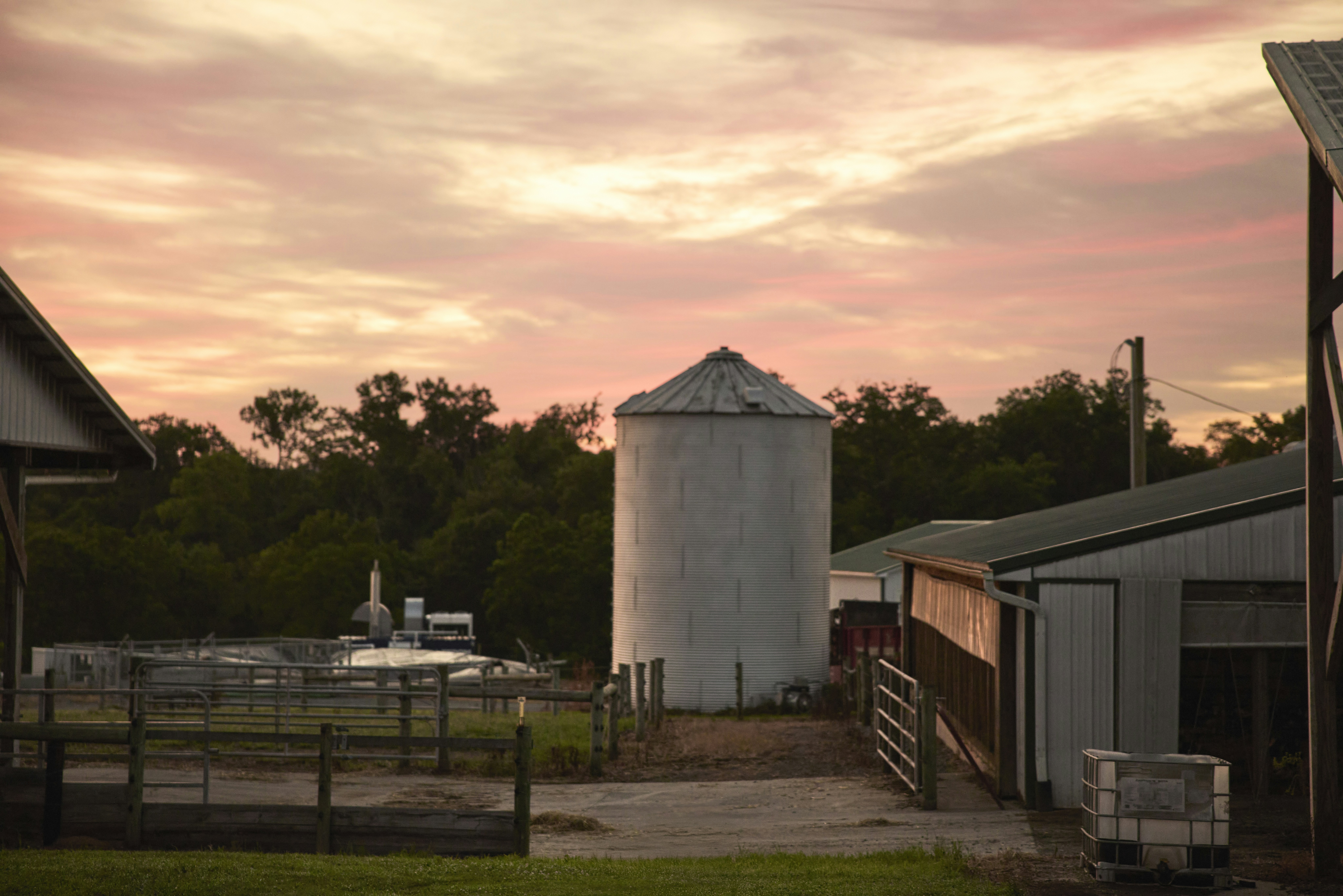 Farm buildings and silo at sunrise