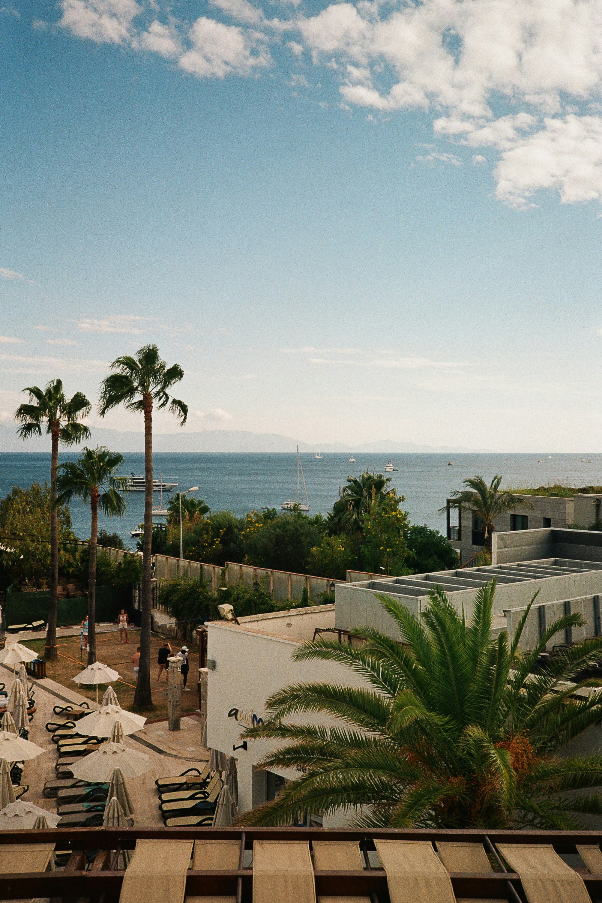 Palm trees and white umbrellas at a resort overlooking the sea in Bodrum