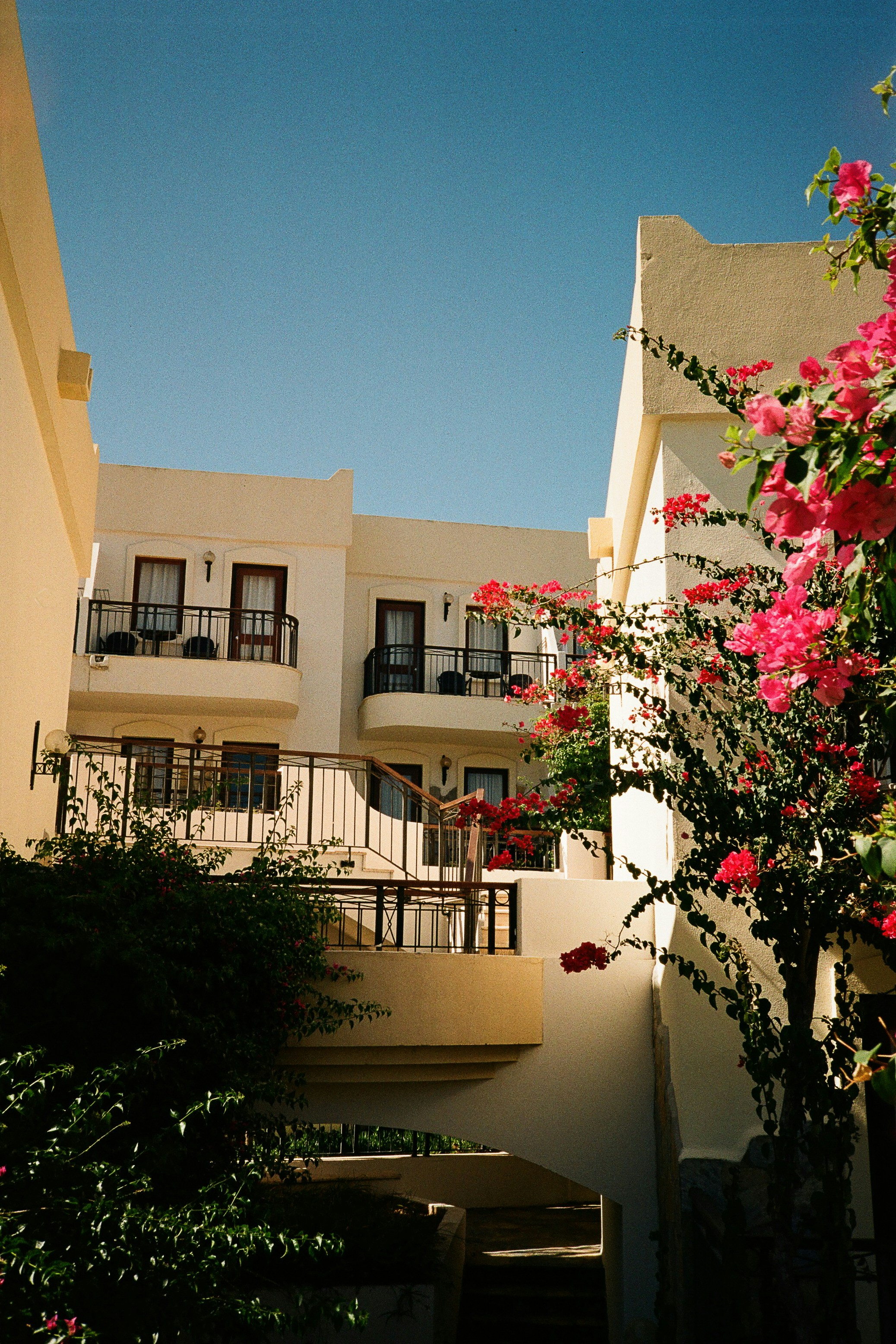 Cream colored hotel balconies with black railings and bright pink bougainvillea in Bodrum