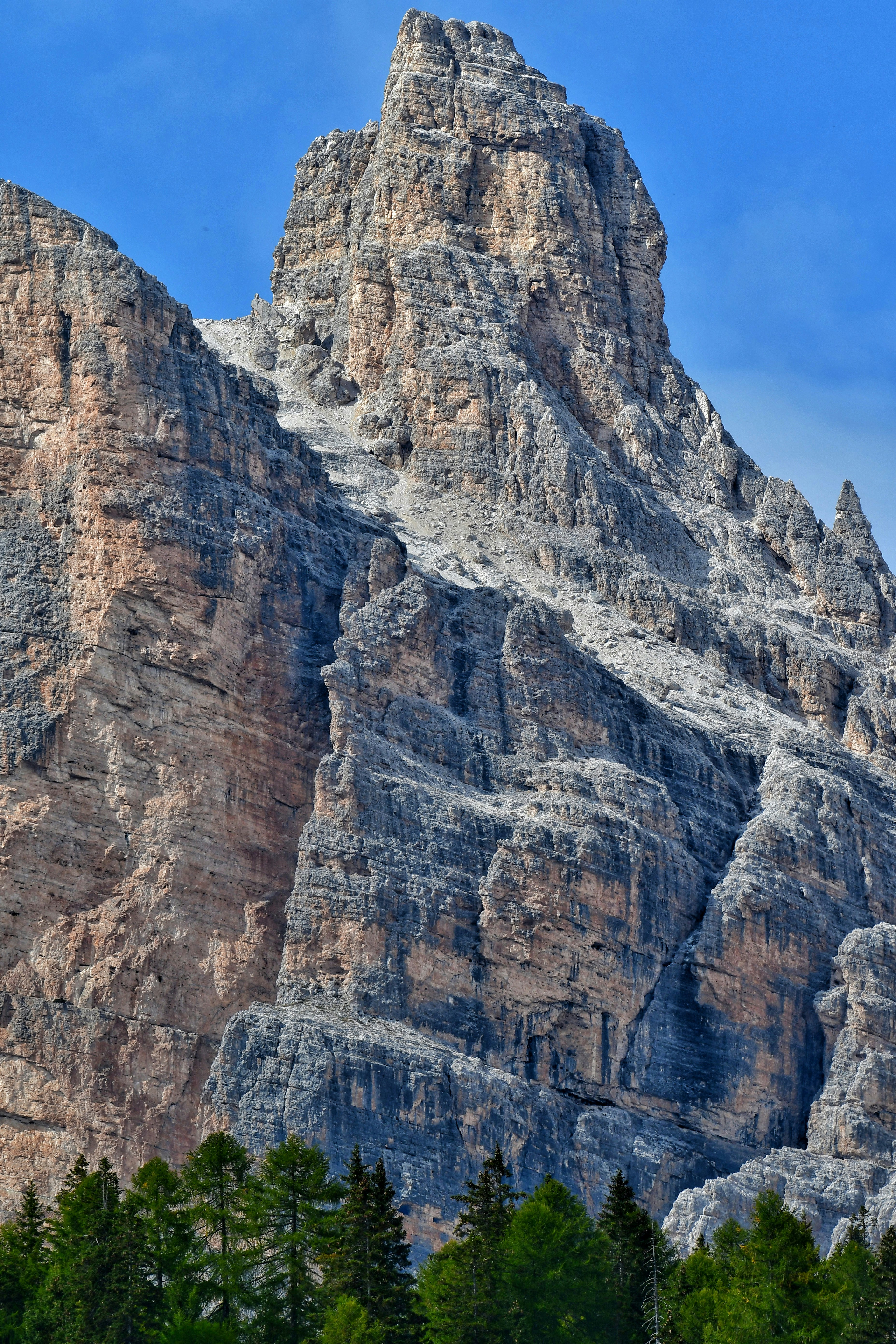 A towering rocky mountain peak rising above a line of green pine trees