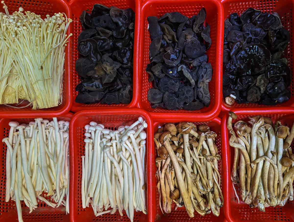A selection of specialty mushrooms displayed for cooking