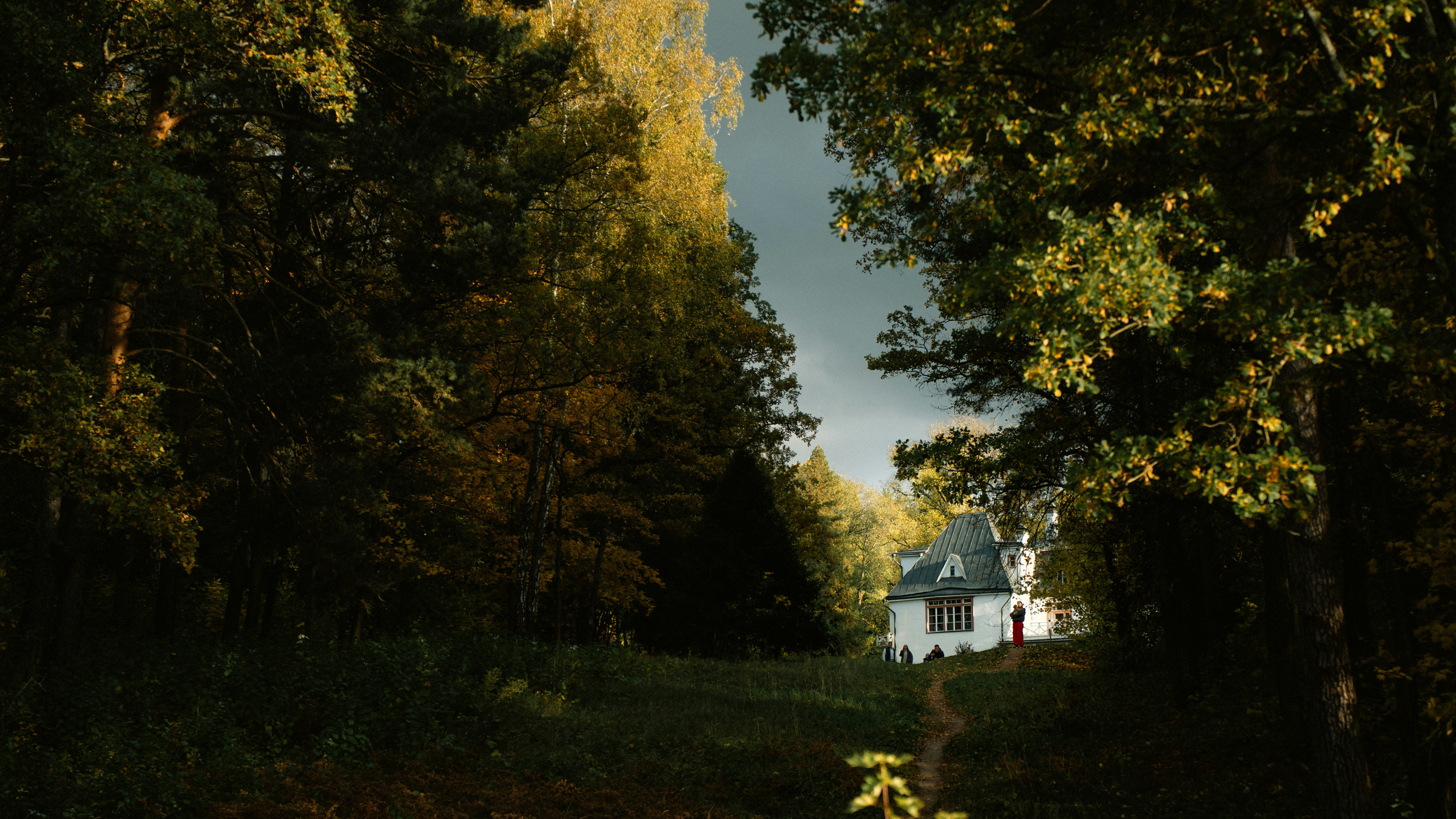 Une maison blanche nichée dans une forêt dense avec un chemin de terre qui y mène