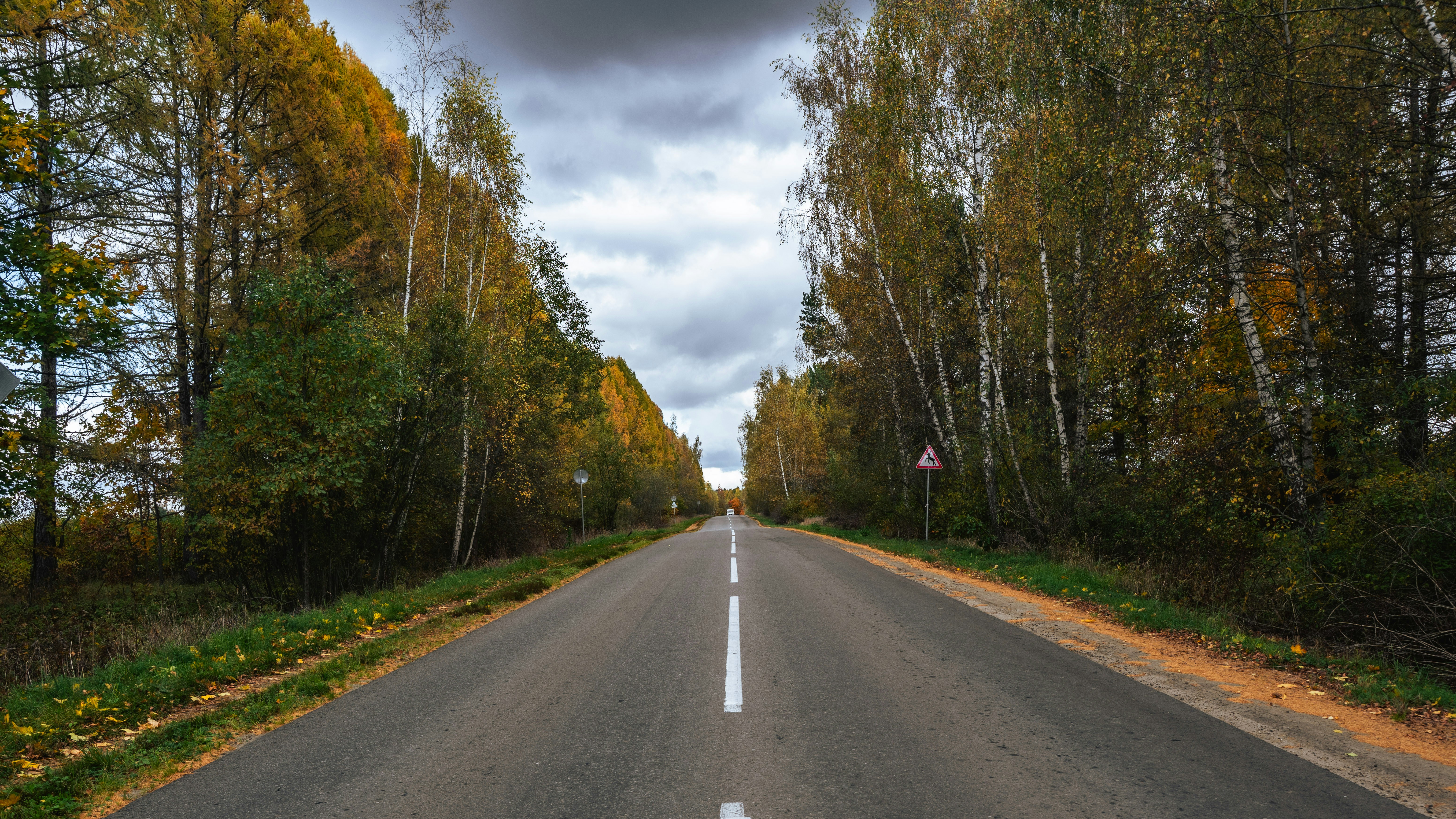 Une route asphaltée traversant une forêt à feuillage d’automne sous un ciel nuageux