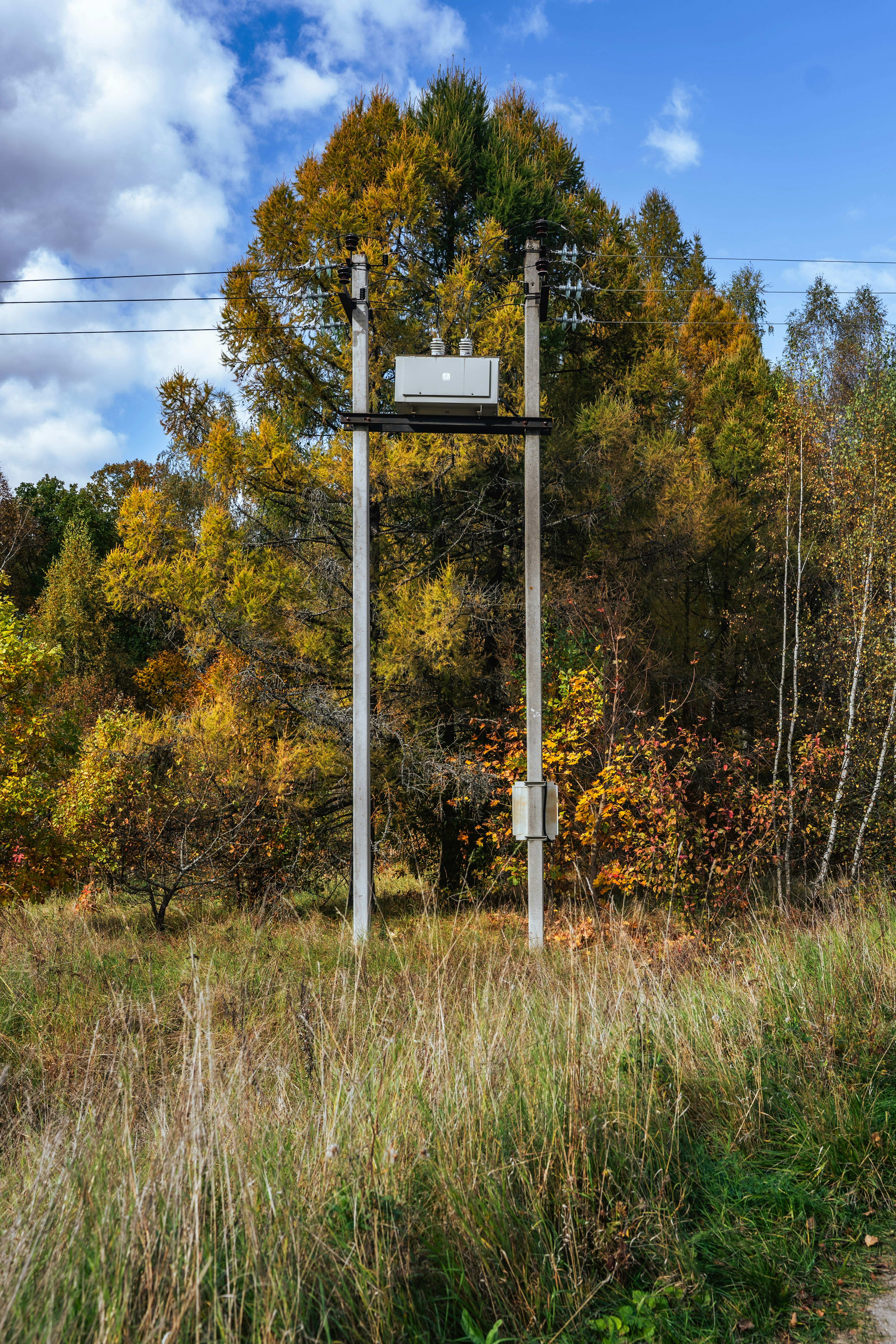 Un transformateur électrique sur des poteaux en béton devant des arbres d’automne au feuillage jaune