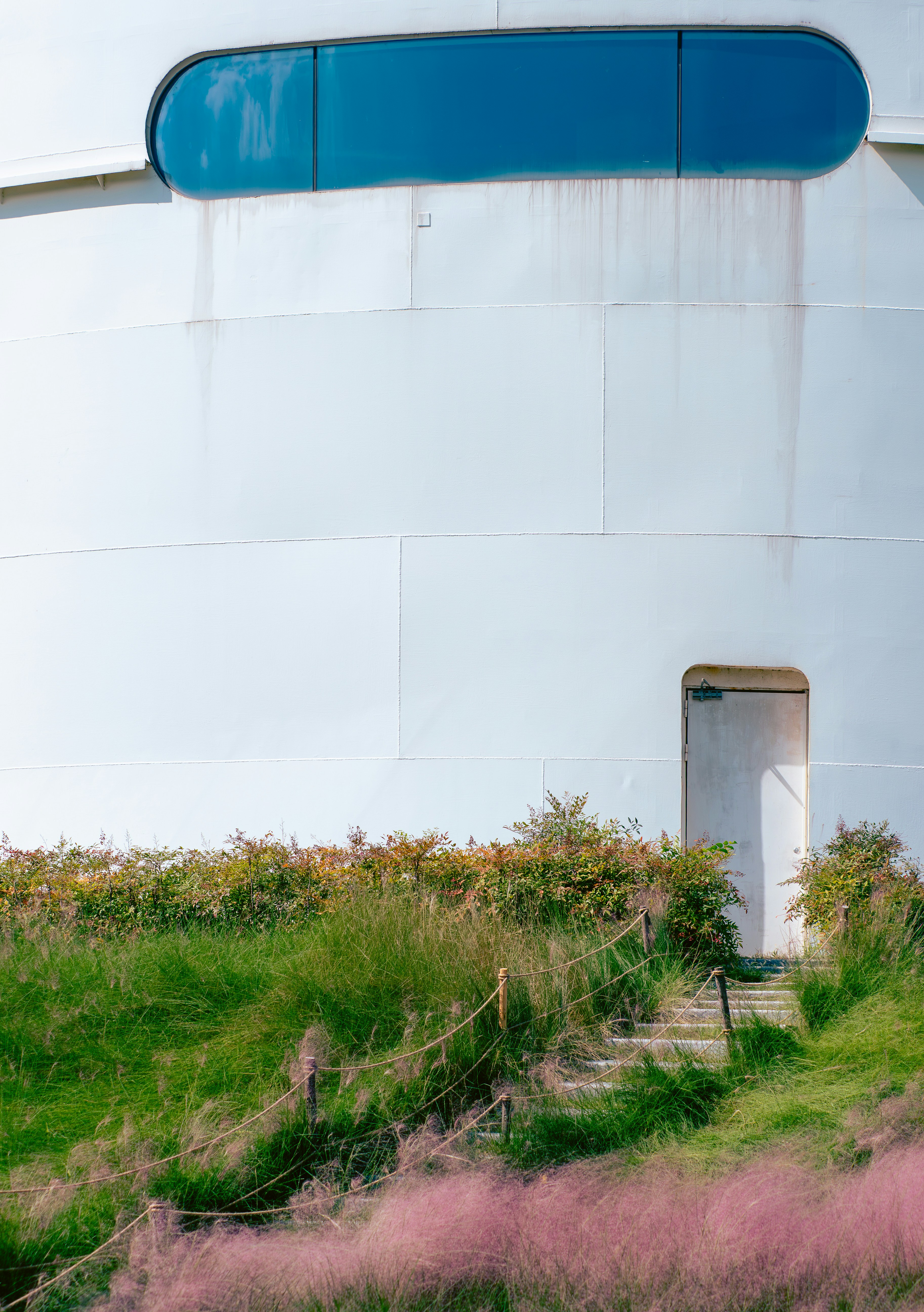 A white curved wall with a blue window and a door above grassy steps