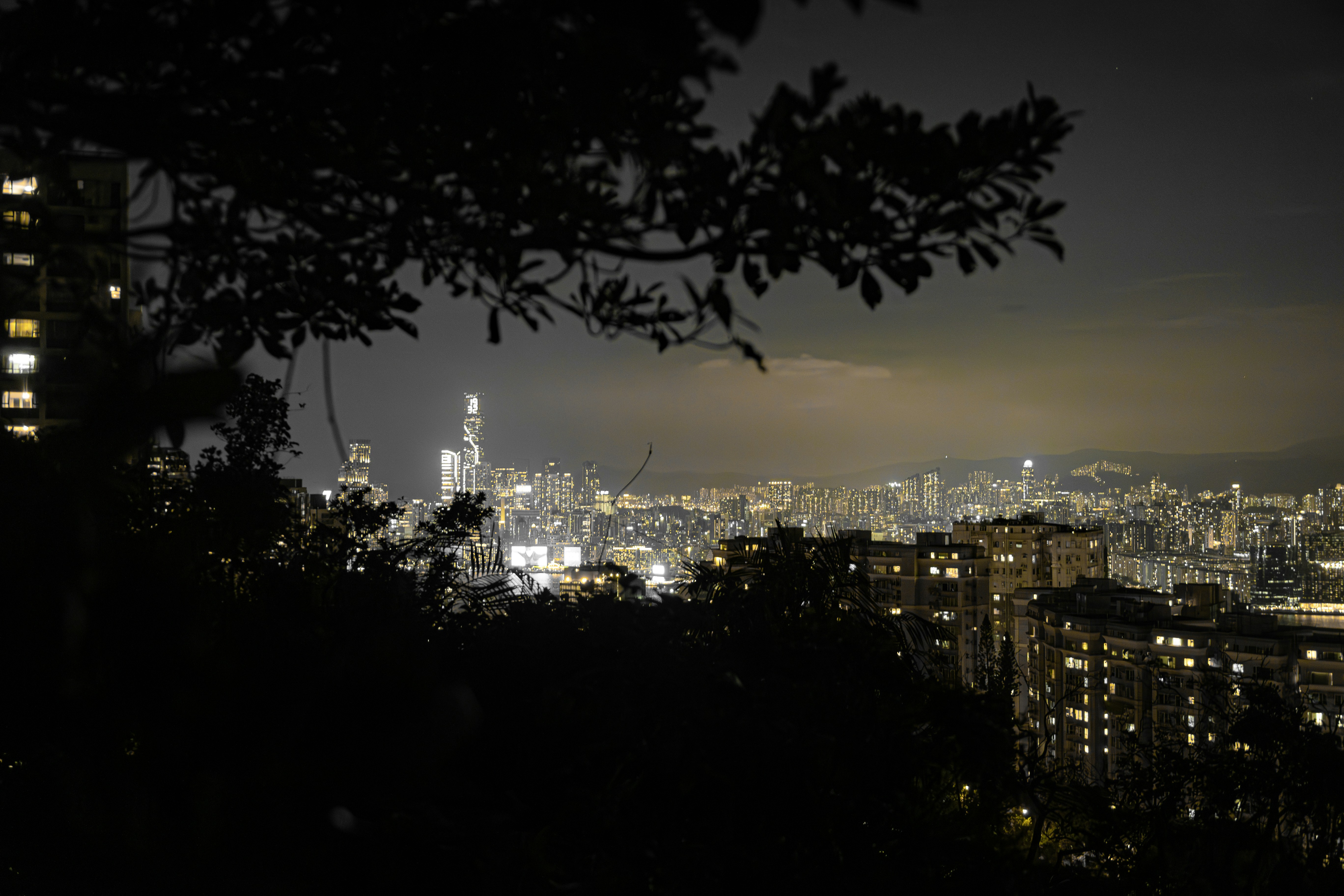 Uma vista noturna de um horizonte denso de cidade emoldurado por galhos escuros de árvores