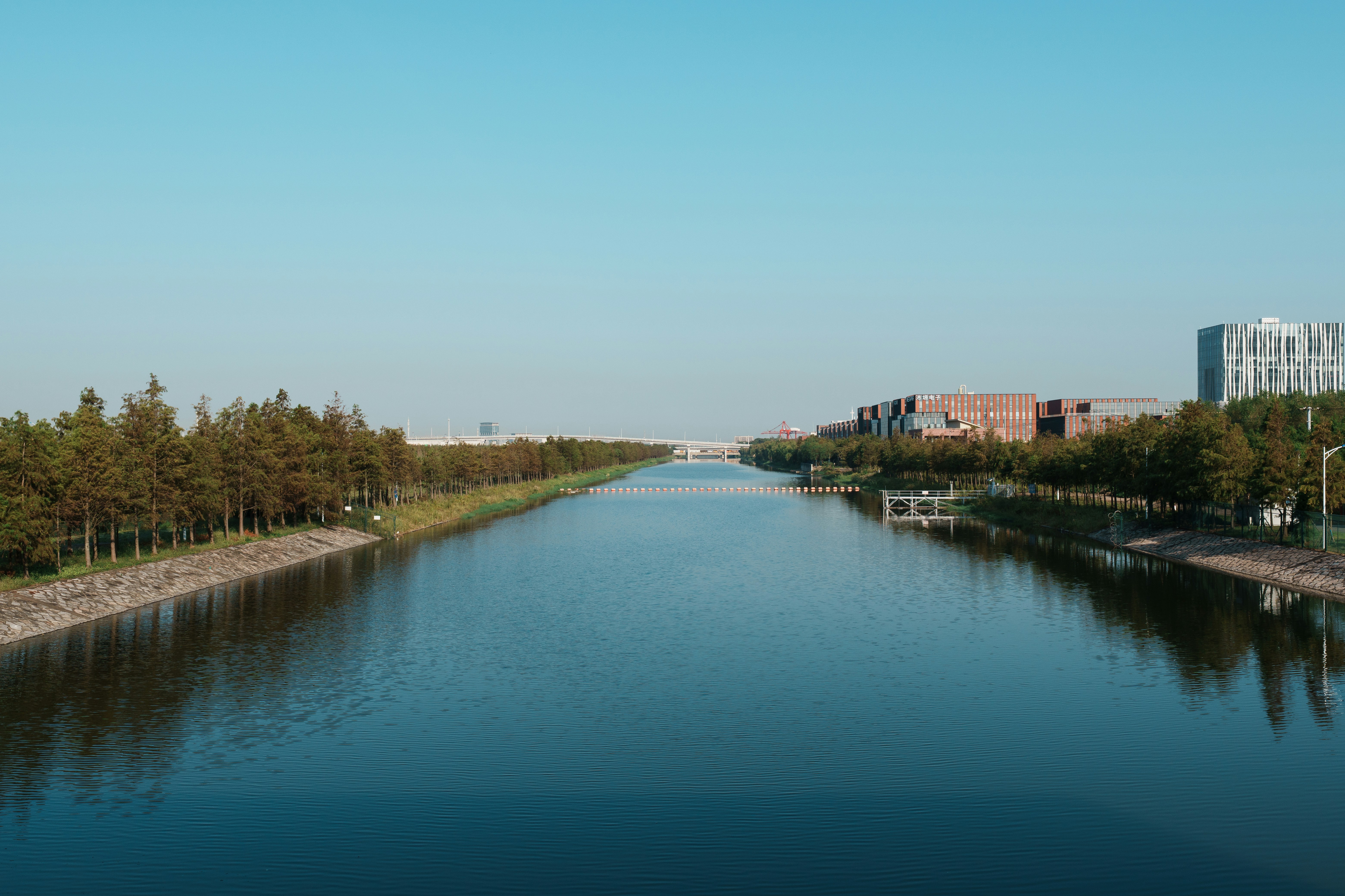 Canal with trees and modern buildings - Free Photo on Unsplash