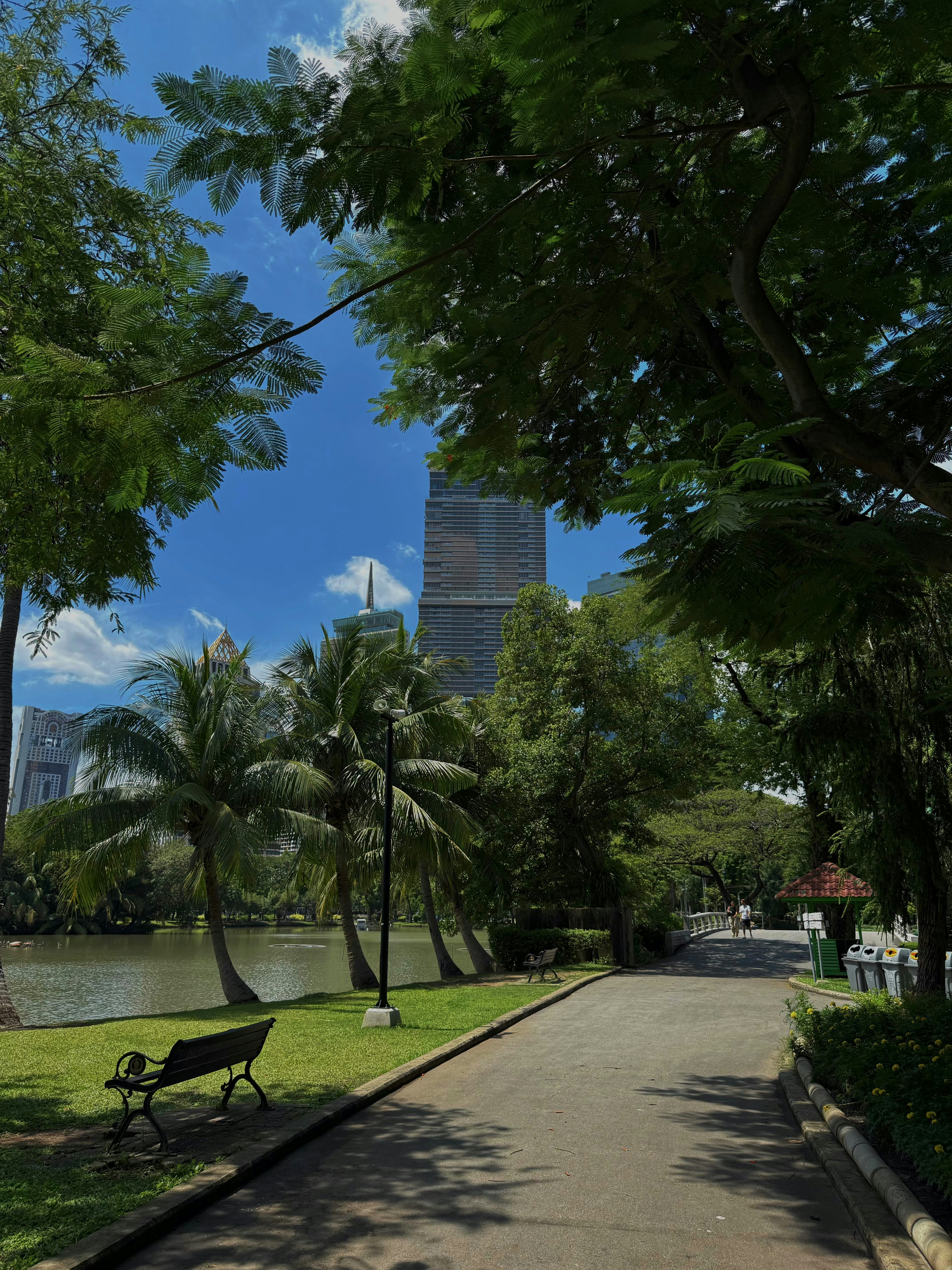 A paved path through a park with palm trees and a lake