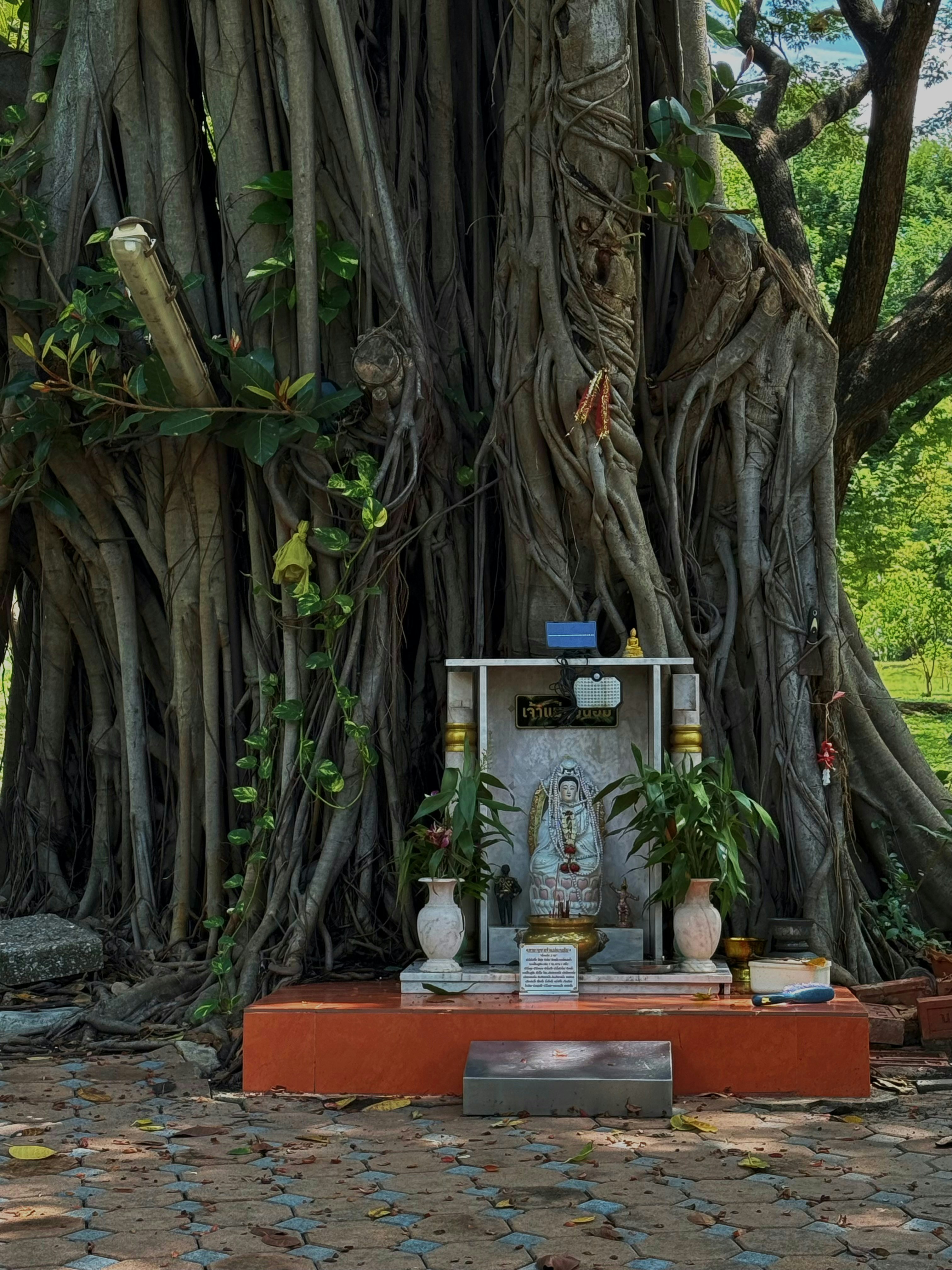 A small shrine with a statue in front of a large banyan tree