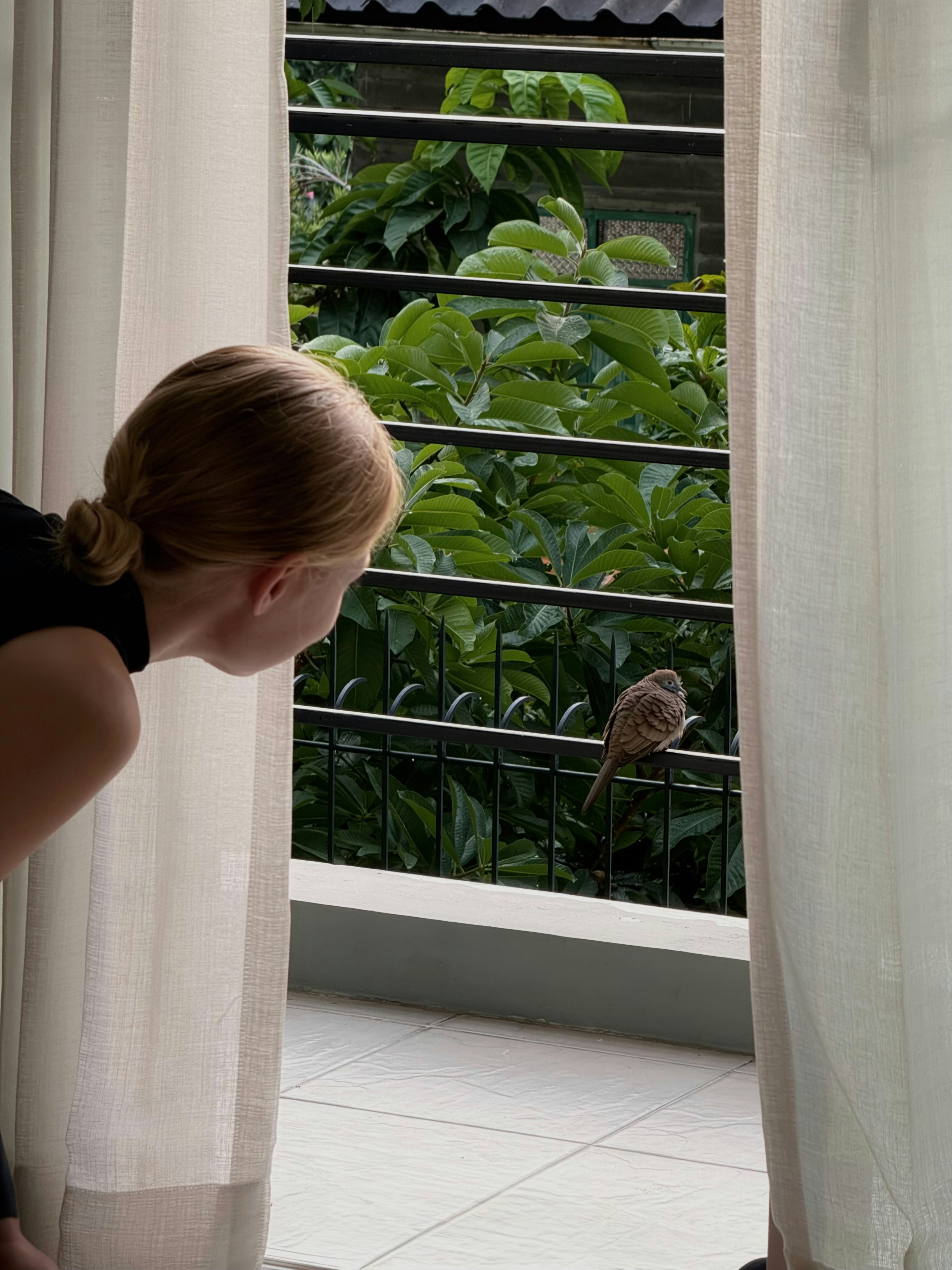 A person looking at a small brown bird perched on a balcony railing